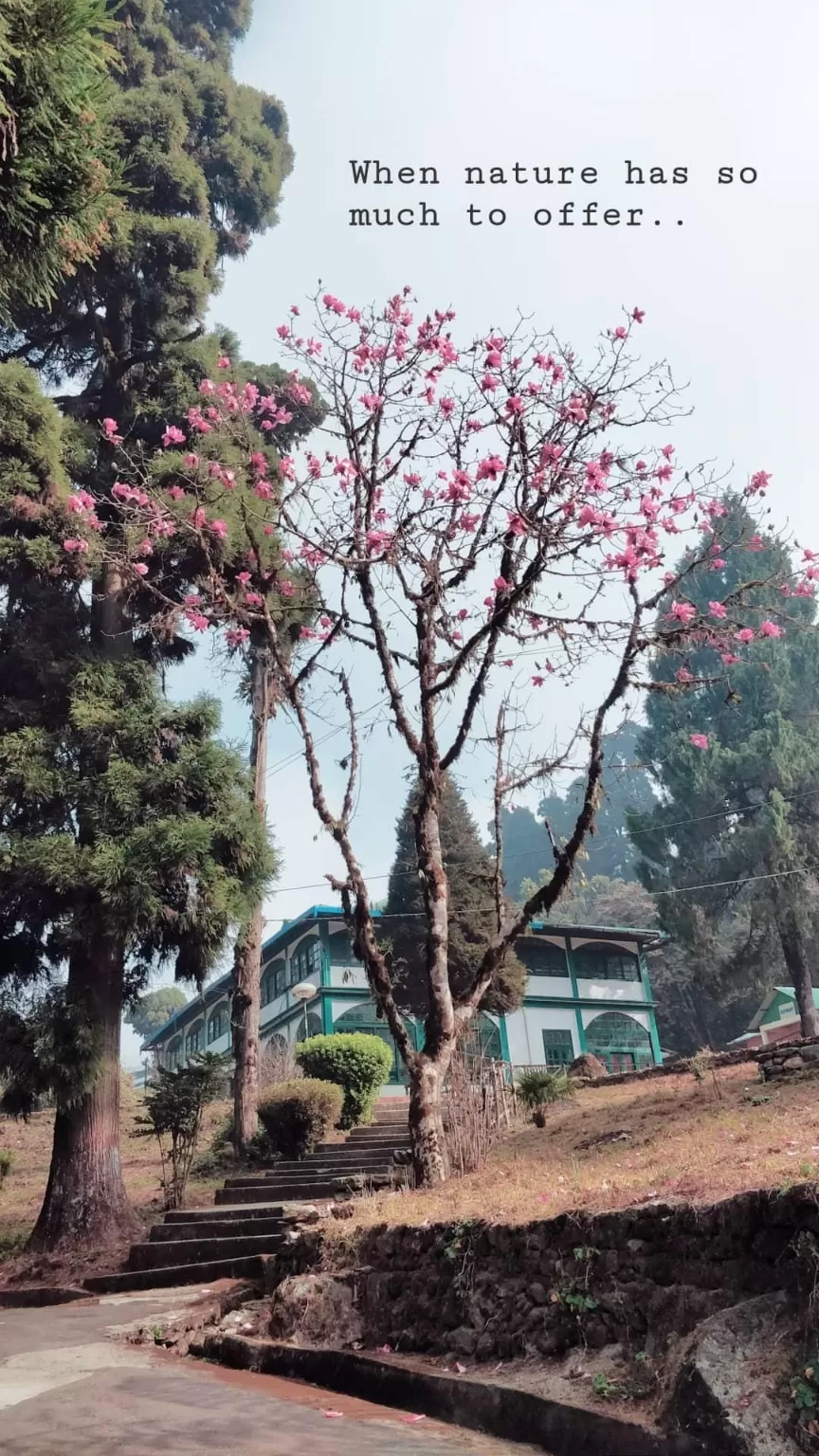 Photo of Kurseong By Prasad - The Enthu Wanderer