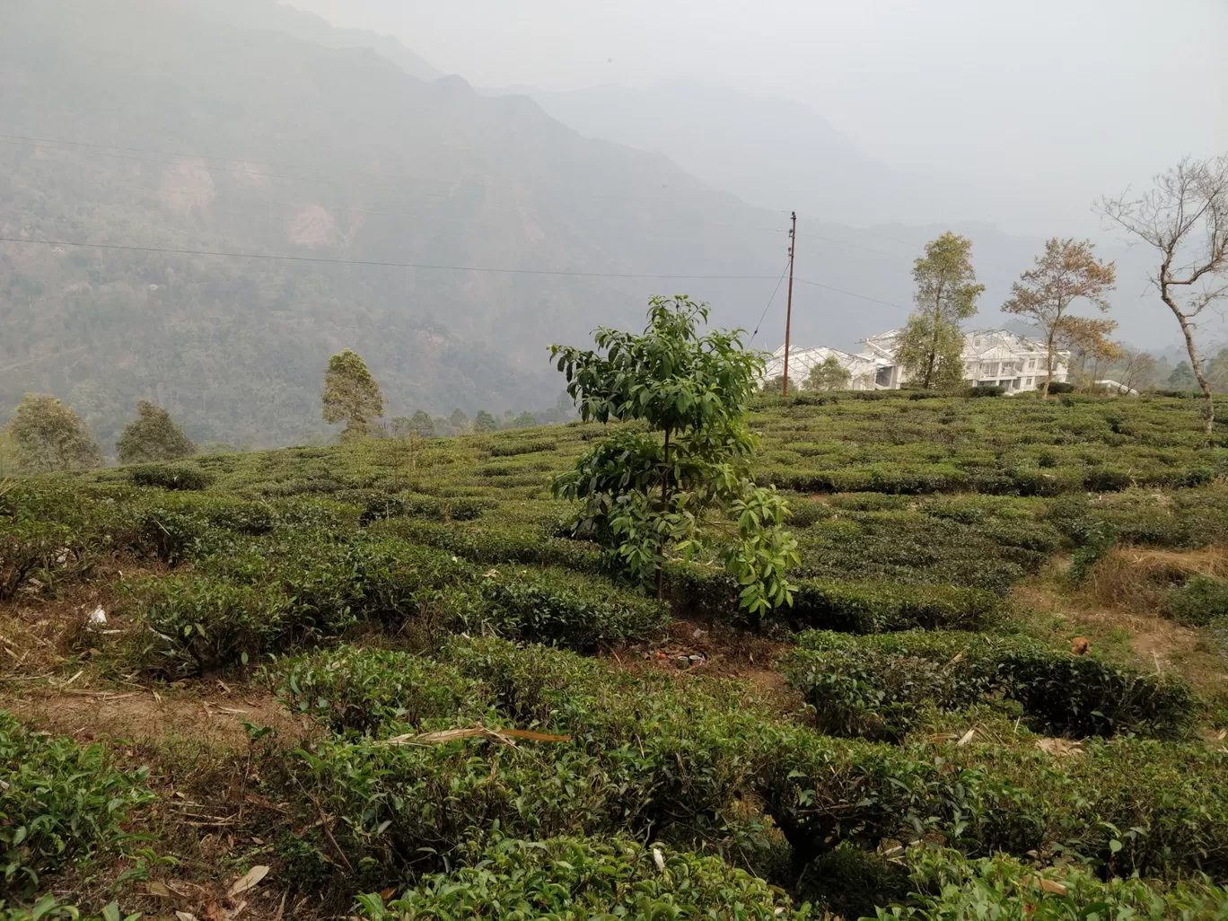 Photo of Kurseong By Prasad - The Enthu Wanderer