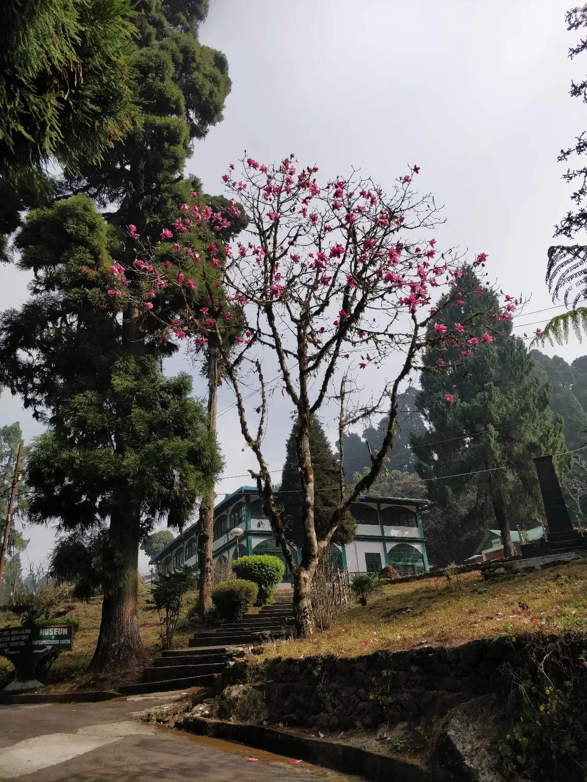 Photo of Kurseong By Prasad - The Enthu Wanderer