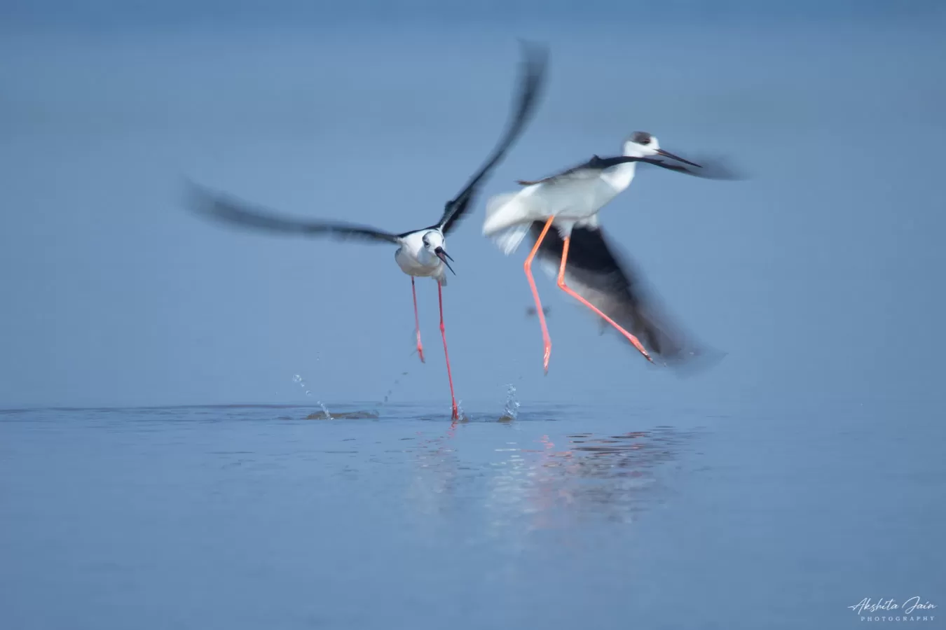 Photo of Little Rann of Kutch By Akshita Jain
