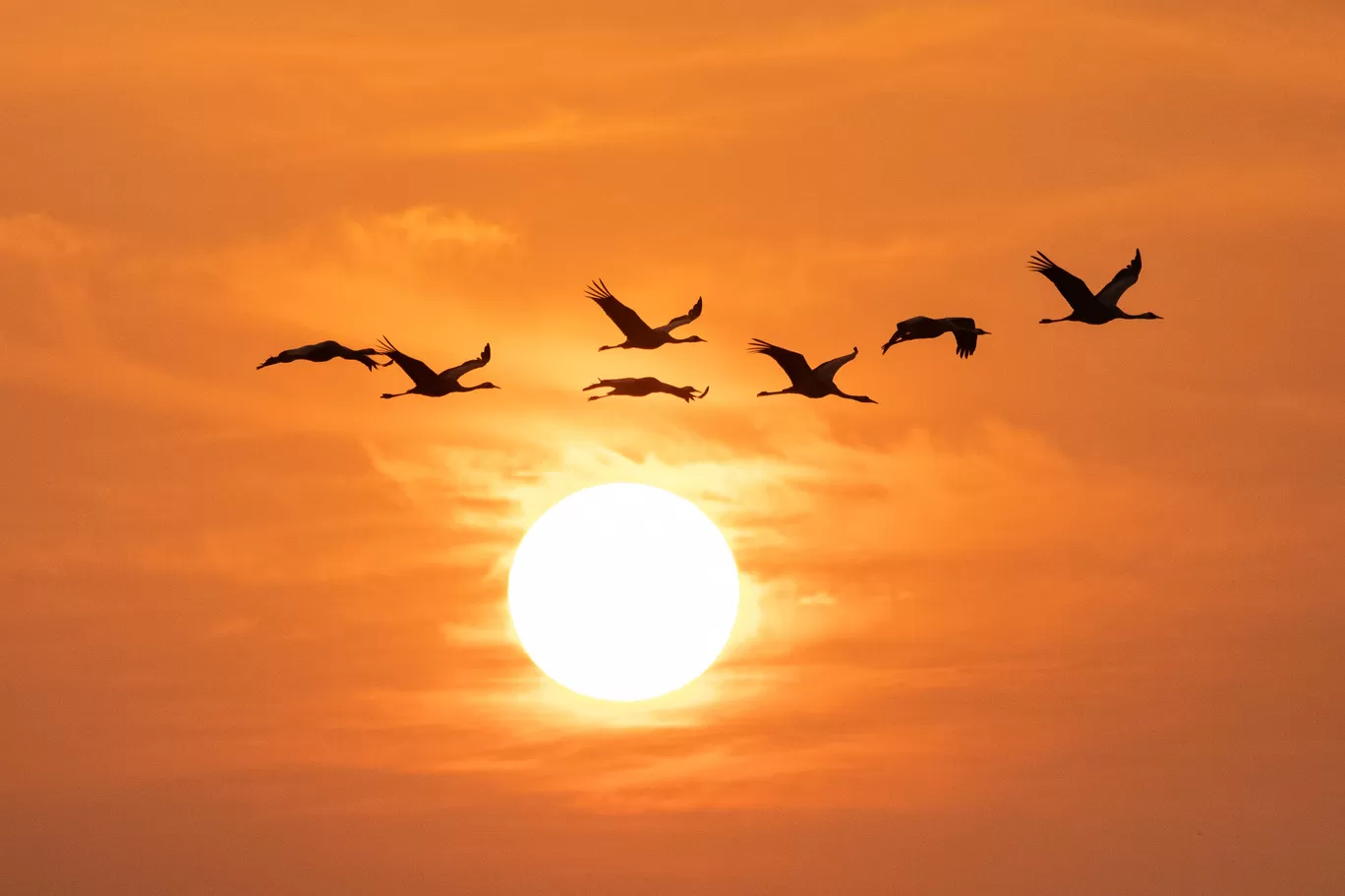 Photo of Little Rann of Kutch By Akshita Jain