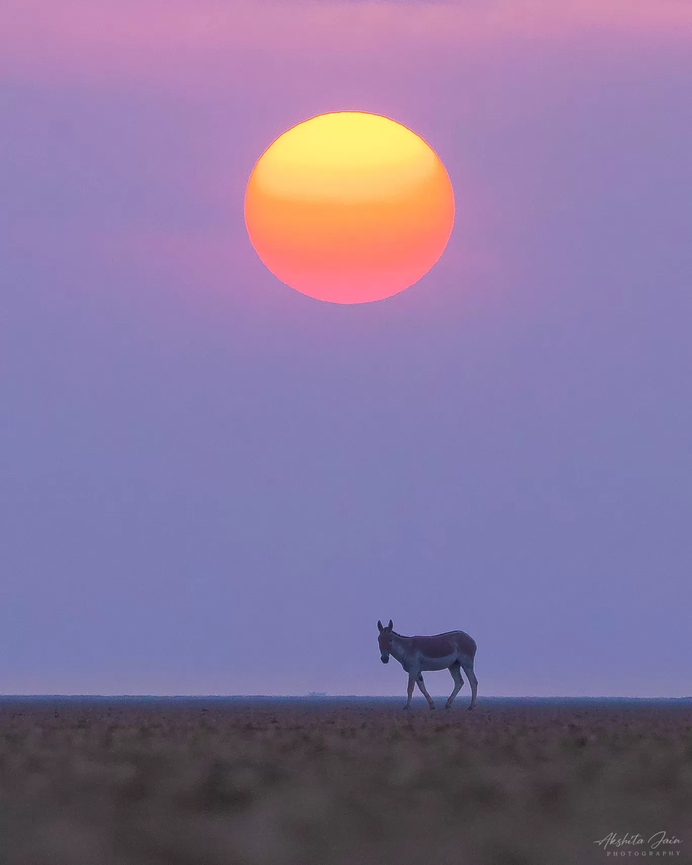 Photo of Little Rann of Kutch By Akshita Jain