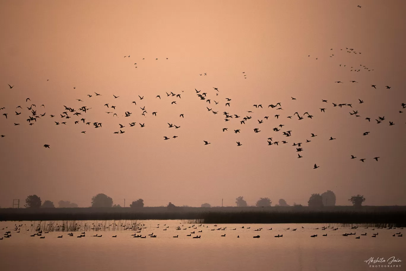 Photo of Little Rann of Kutch By Akshita Jain