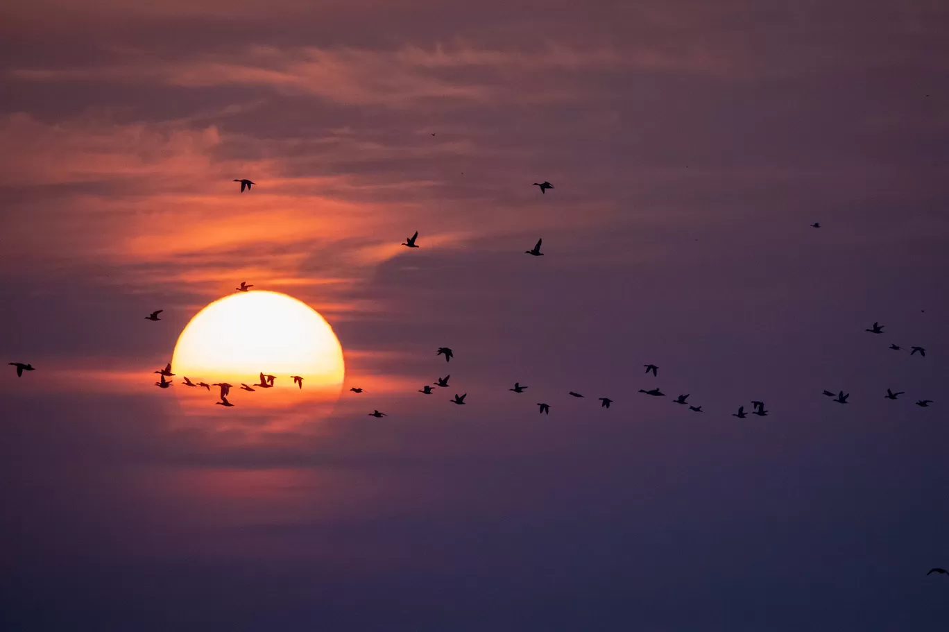 Photo of Little Rann of Kutch By Akshita Jain