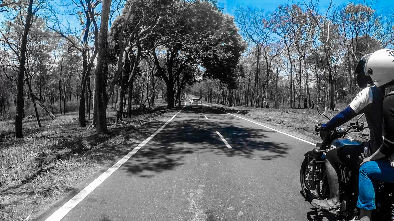Photo of Ooty By Aritra Roy