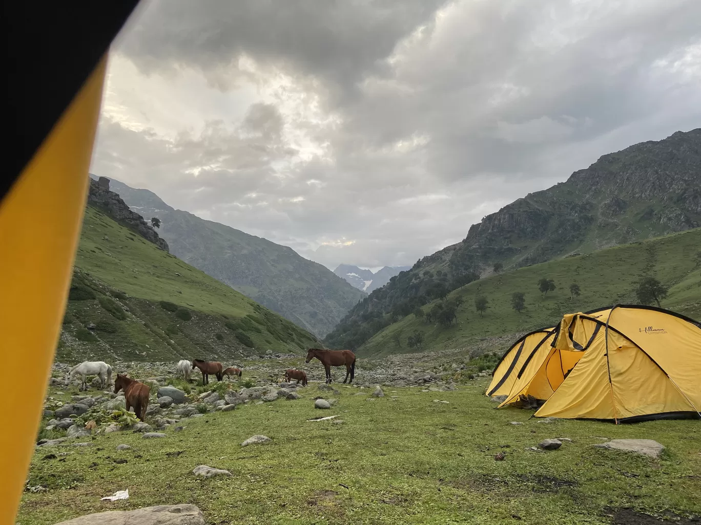 Photo of Tarsar marsar Trek By Rinki Popli