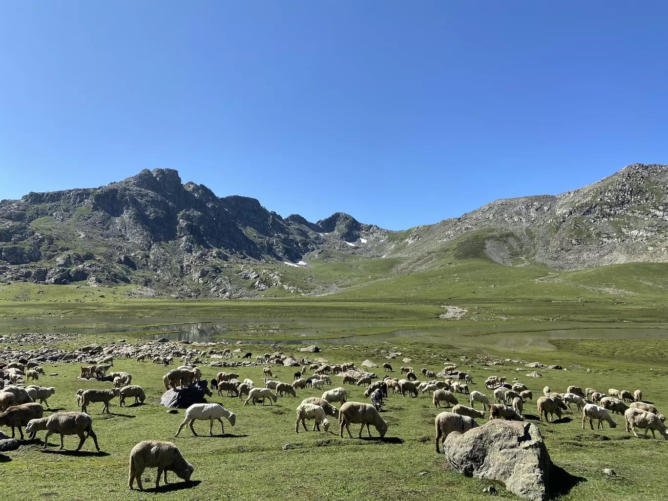 Photo of Tarsar marsar Trek By Rinki Popli
