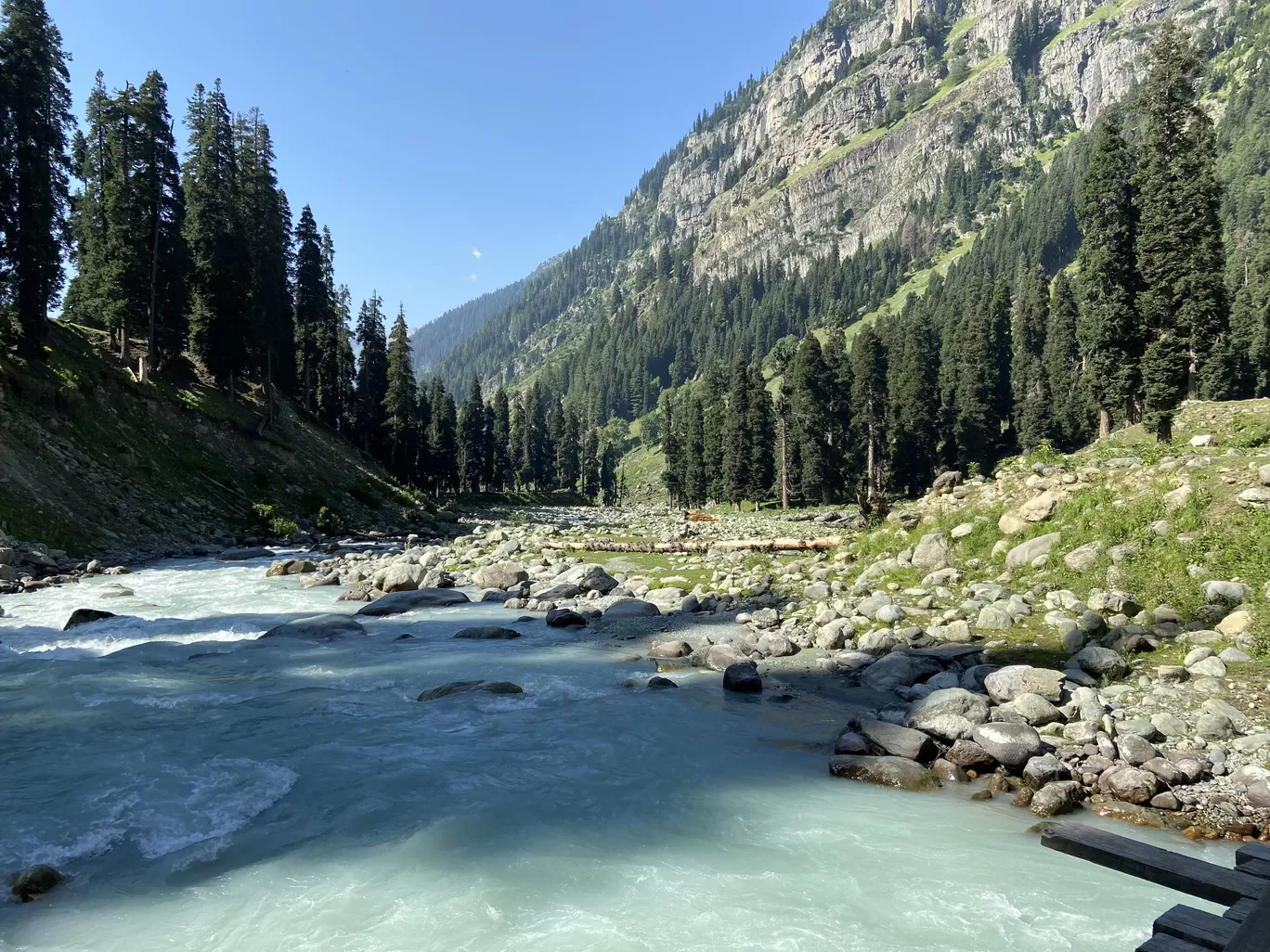 Photo of Tarsar marsar Trek By Rinki Popli
