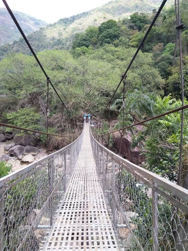Photo of Double Decker Living Root Bridge By Rinki Popli