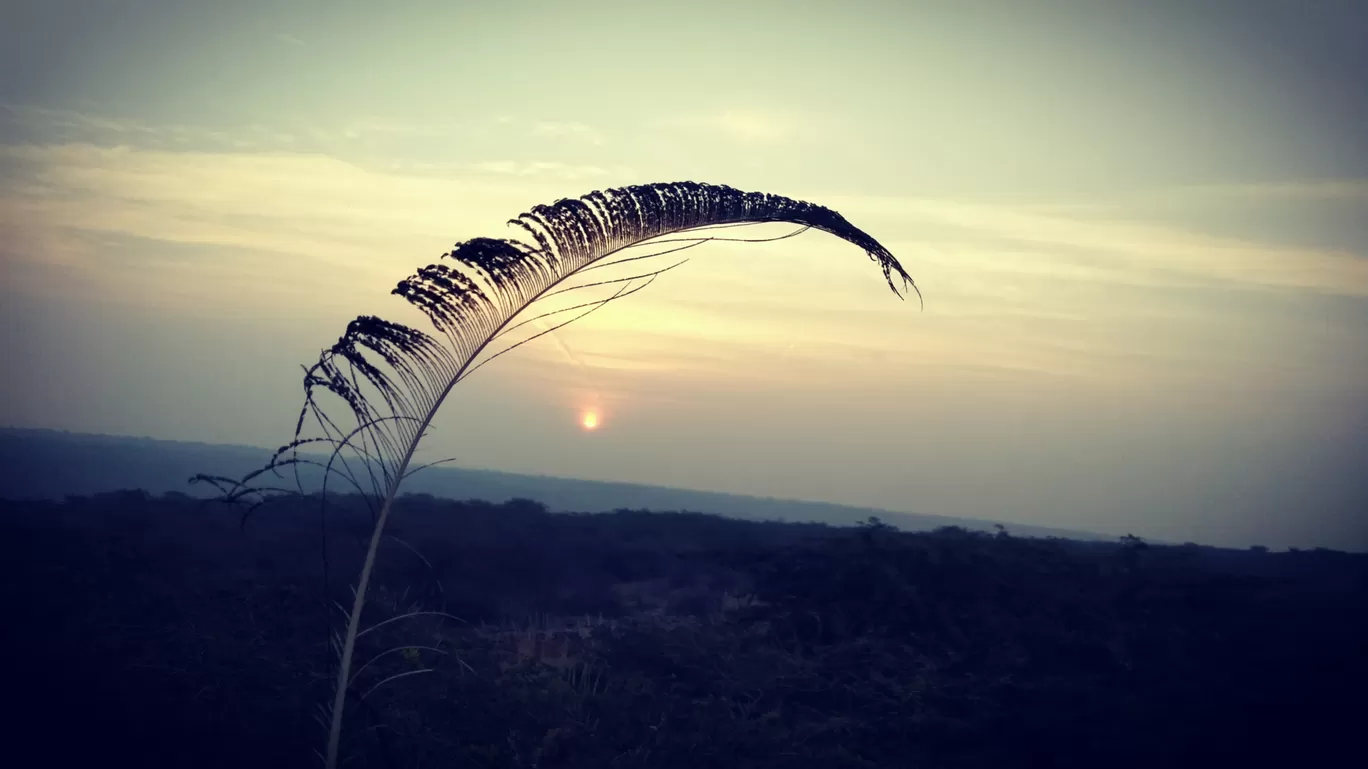 Photo of Gurgaon By Neelima Adhikari