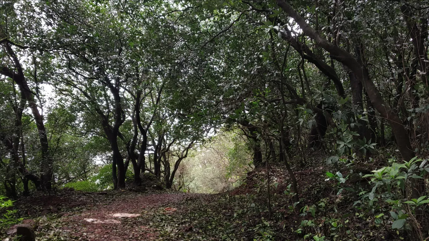 Photo of Matheran By prasad matal