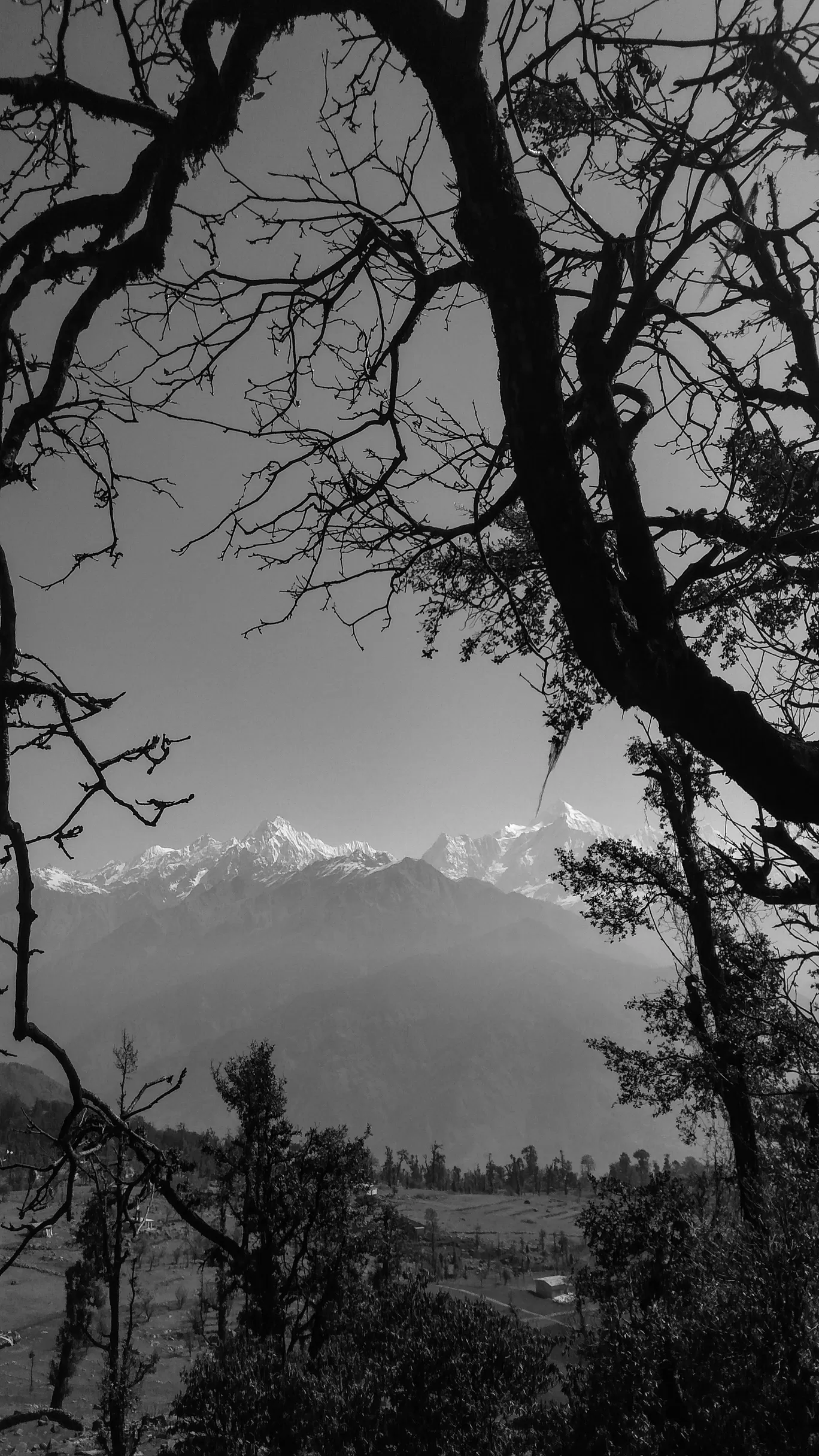 Photo of Munsyari By Bhuvan Khandelwal