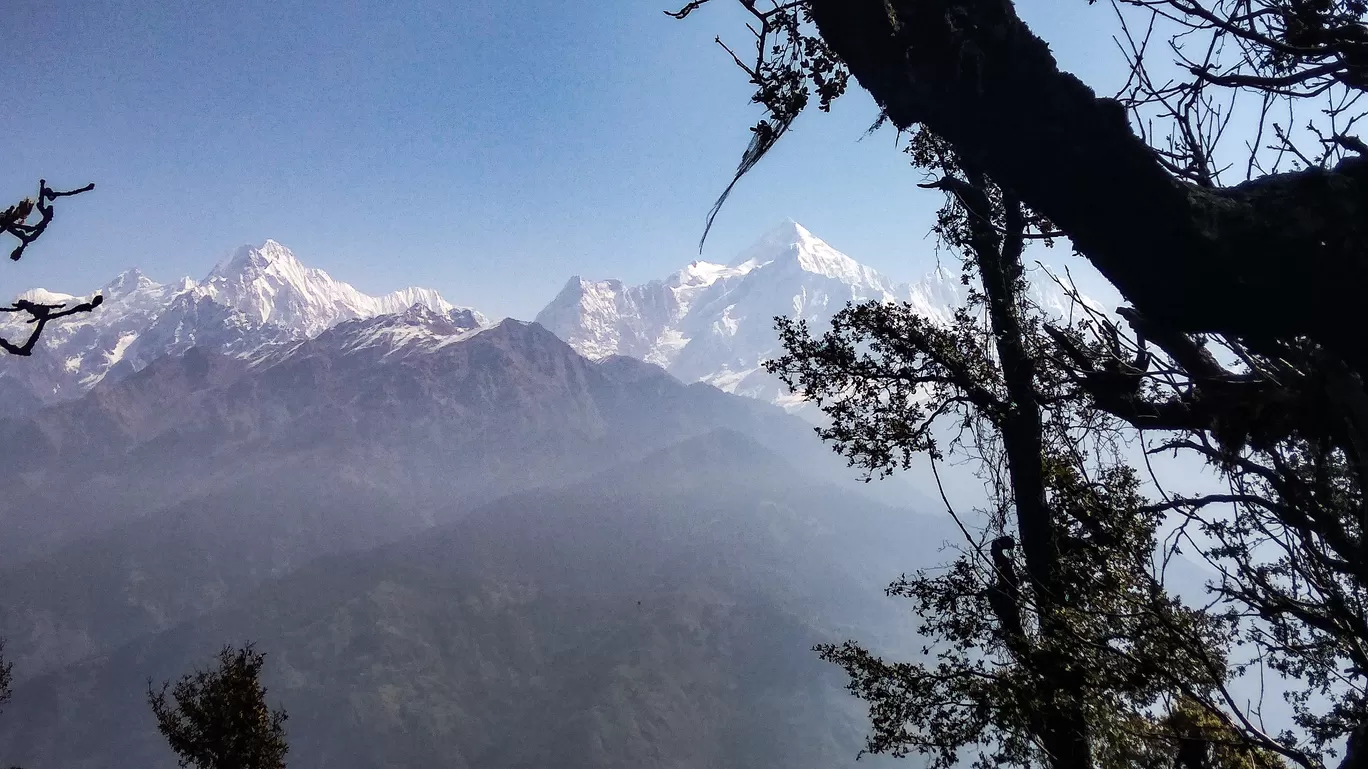 Photo of Munsyari By Bhuvan Khandelwal