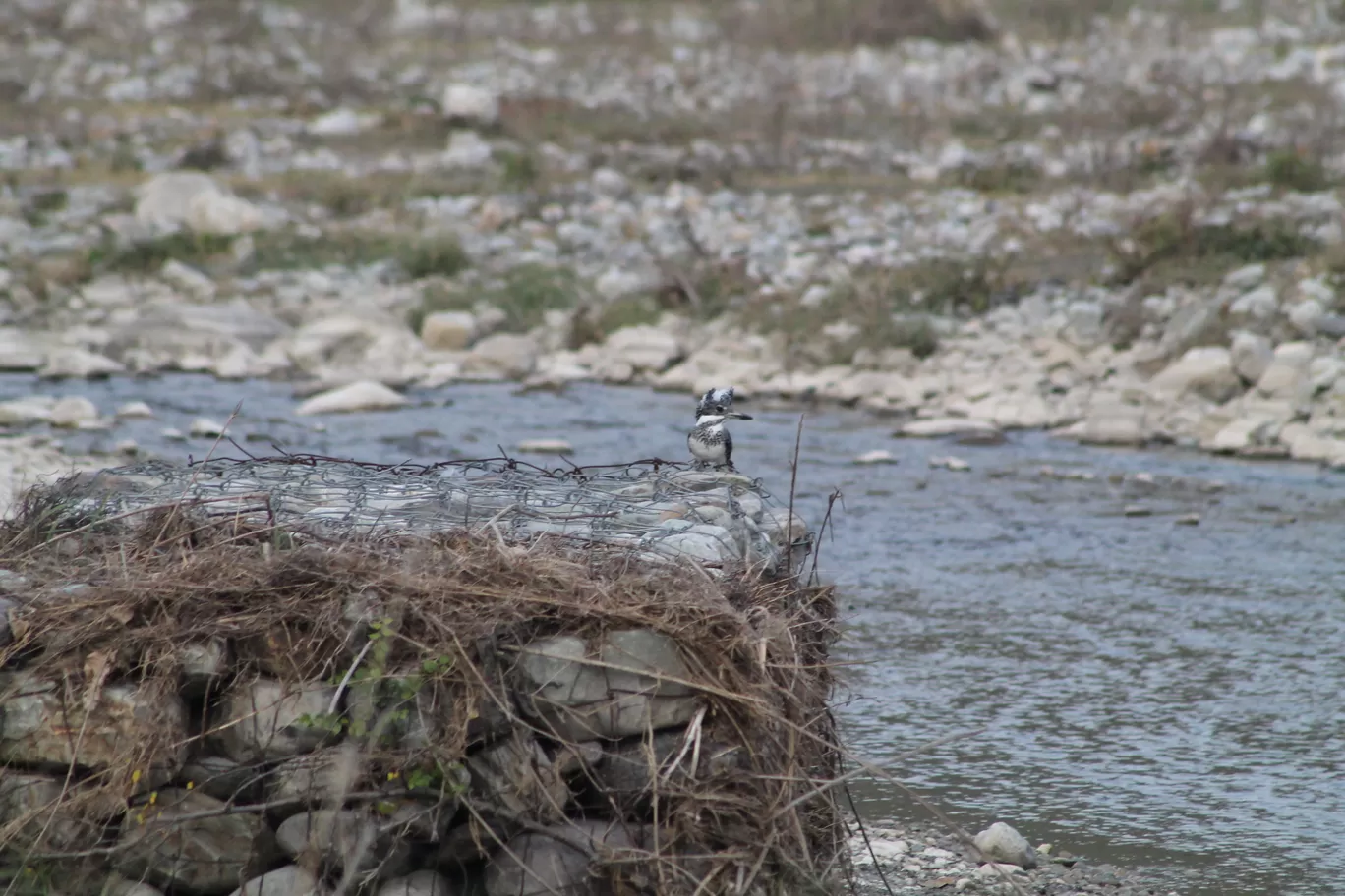 Photo of Jim Corbett National Park By Shayaan Ahmad Noori