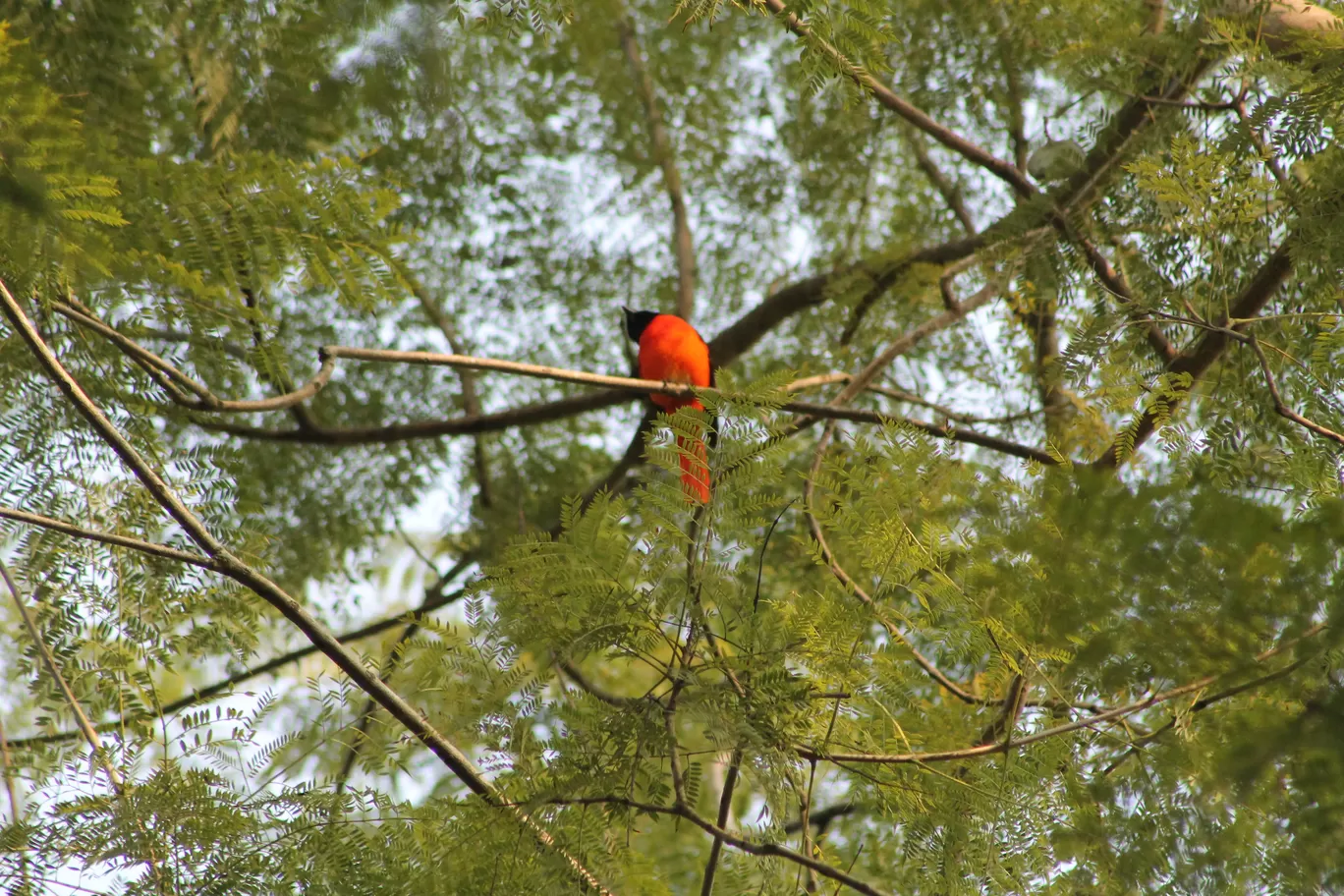 Photo of Jim Corbett National Park By Shayaan Ahmad Noori