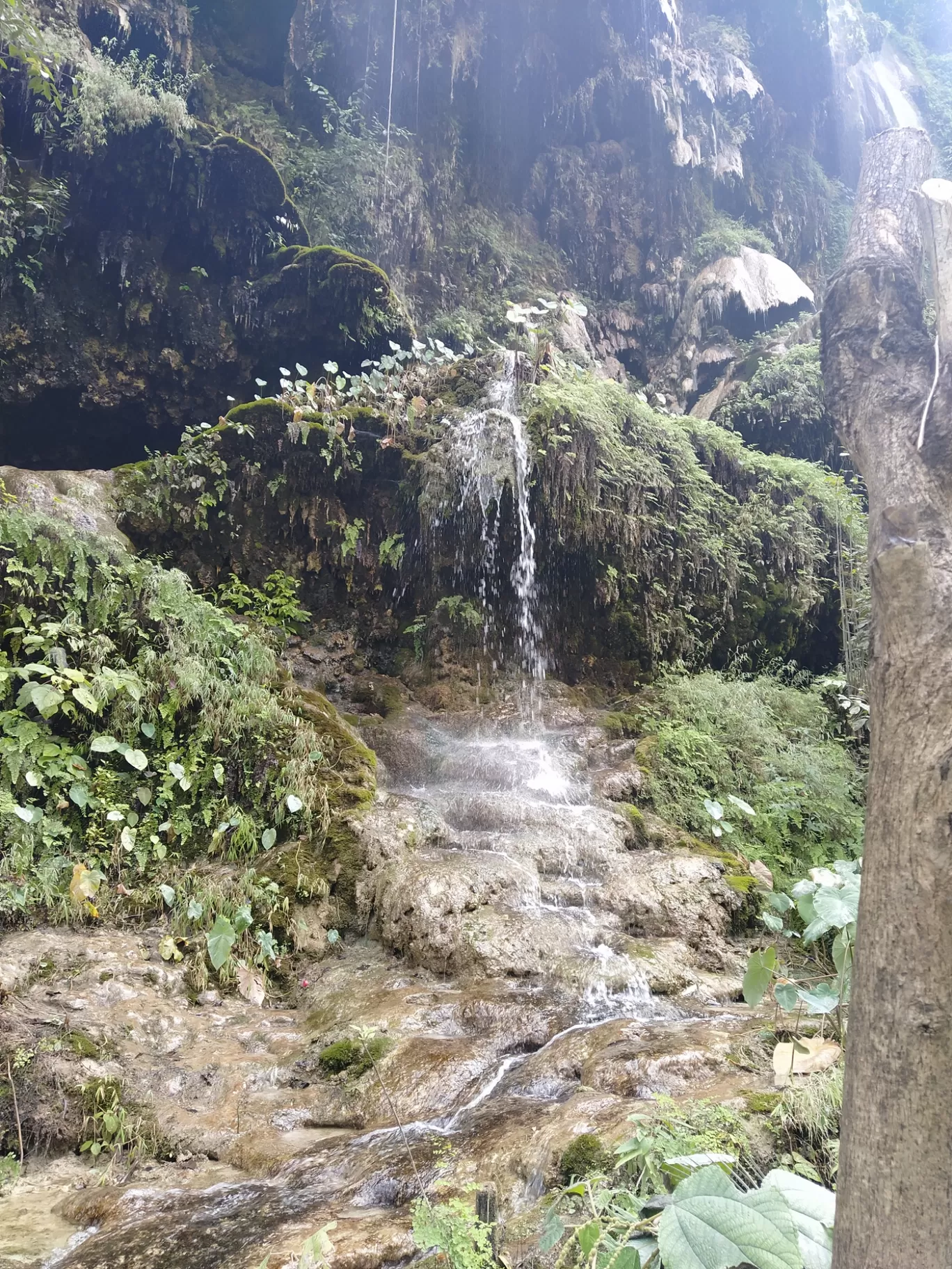 Photo of Patna Waterfall By Bhavya Sharma