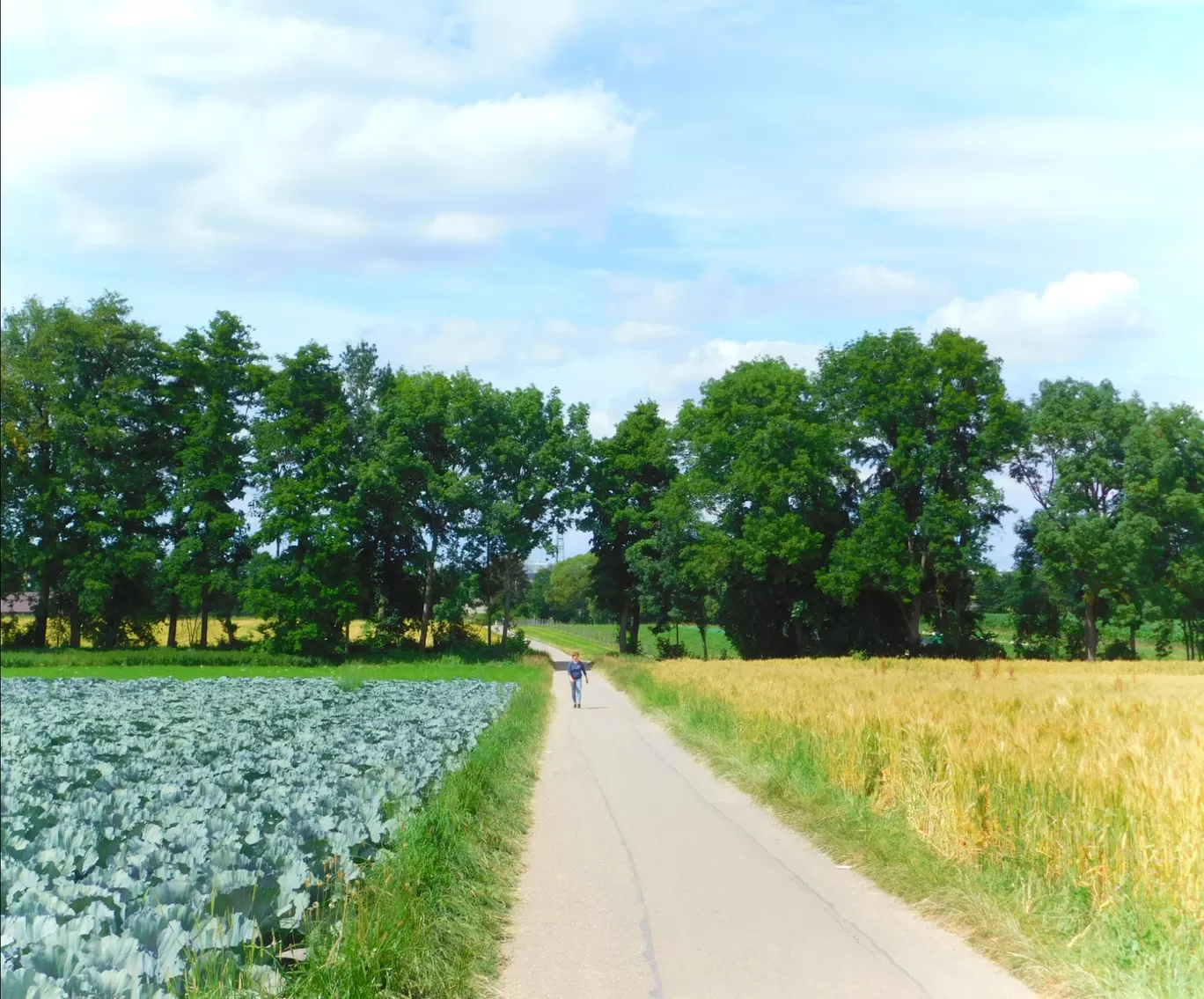 Photo of Europe By Gautami Reddivari