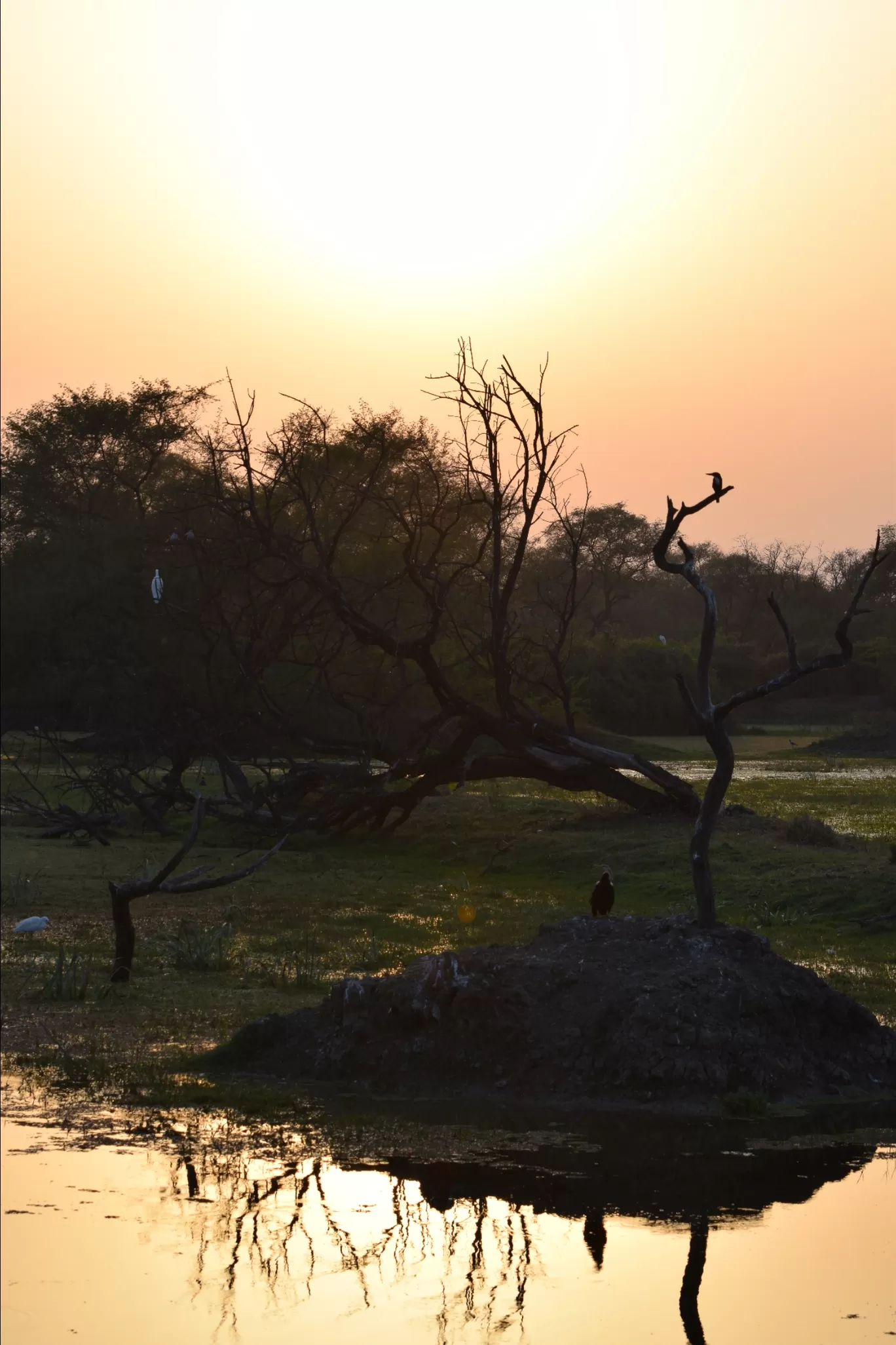 Photo of India By Never-ending-footsteps by Richa Shah..