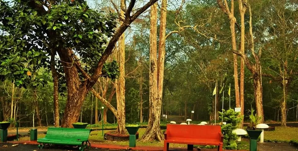 Photo of India By Never-ending-footsteps by Richa Shah..