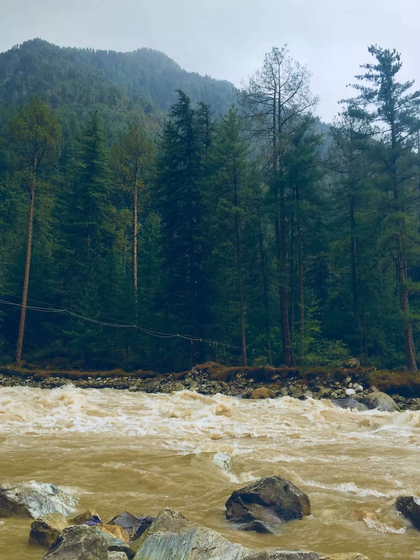 Photo of Chalal Trek Trail By deepali sukhija