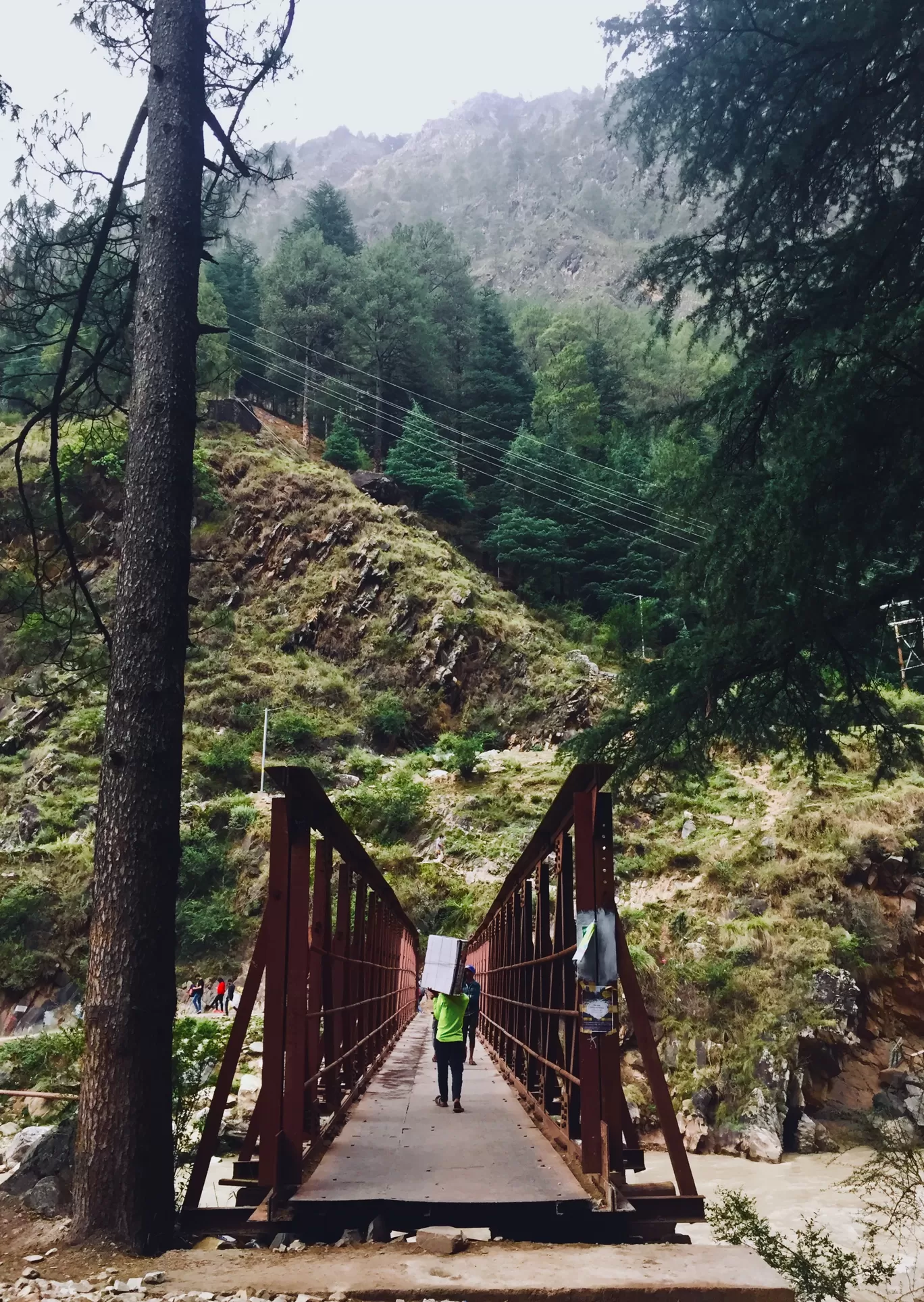 Photo of Chalal Trek Trail By deepali sukhija