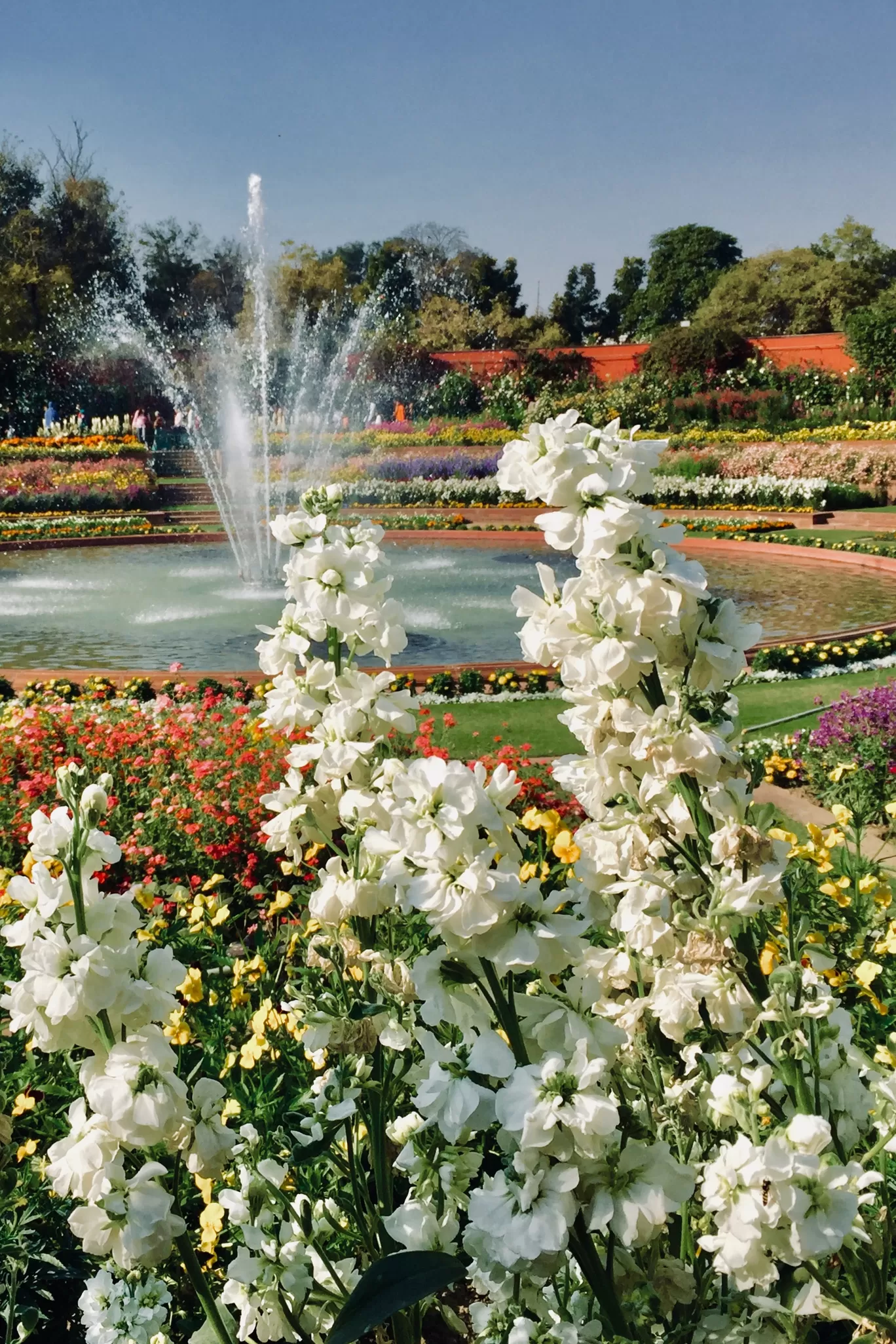 Photo of Mughal Gardens By deepali sukhija