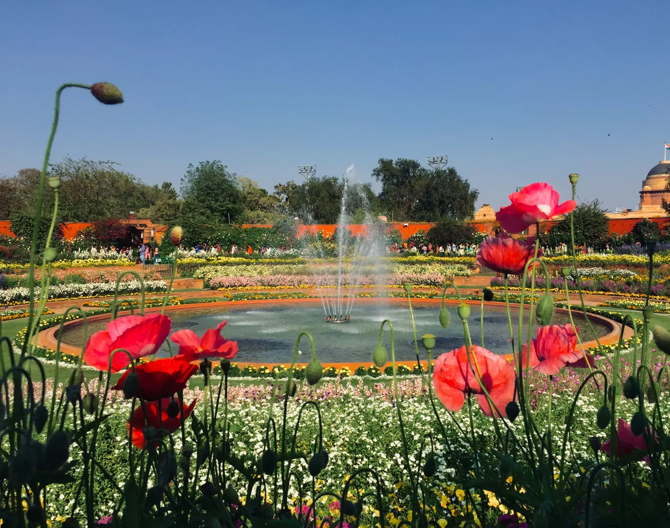 Photo of Mughal Gardens By deepali sukhija
