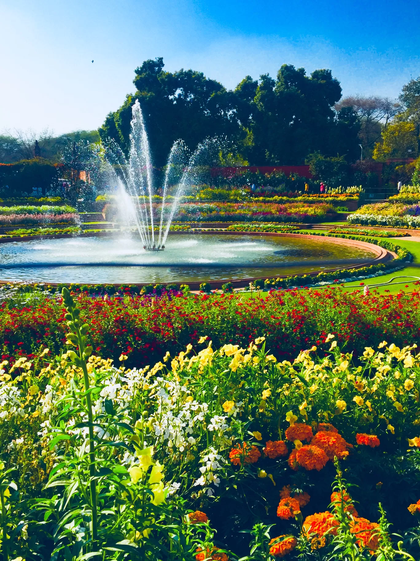 Photo of Mughal Gardens By deepali sukhija