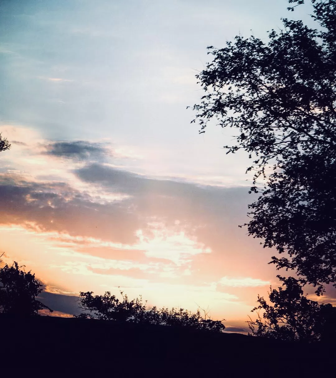 Photo of Alwar By deepali sukhija