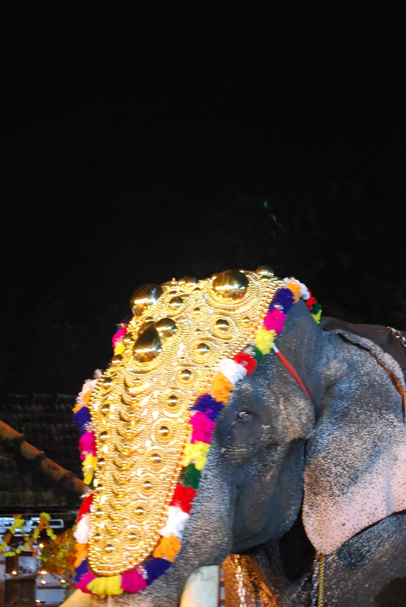 Photo of Kerala By Pravin Panchal