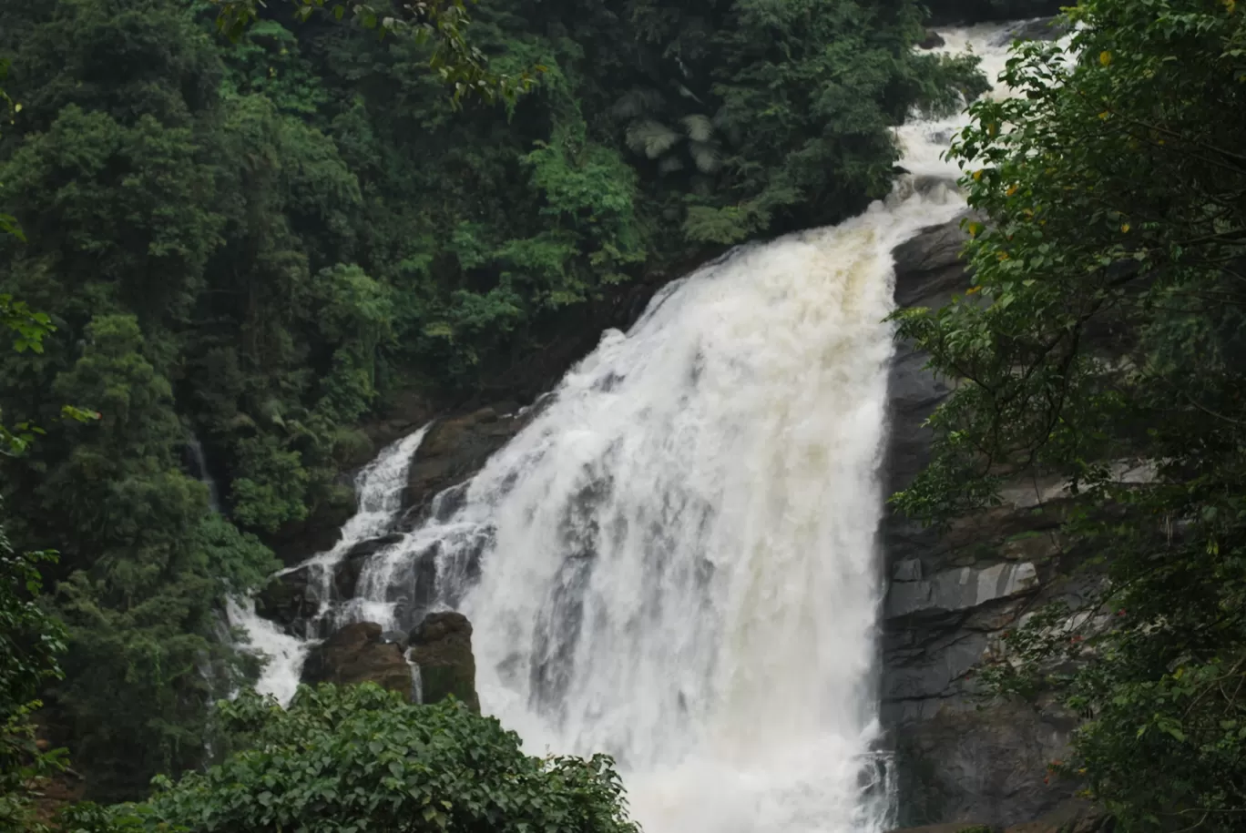 Photo of Kerala By Pravin Panchal