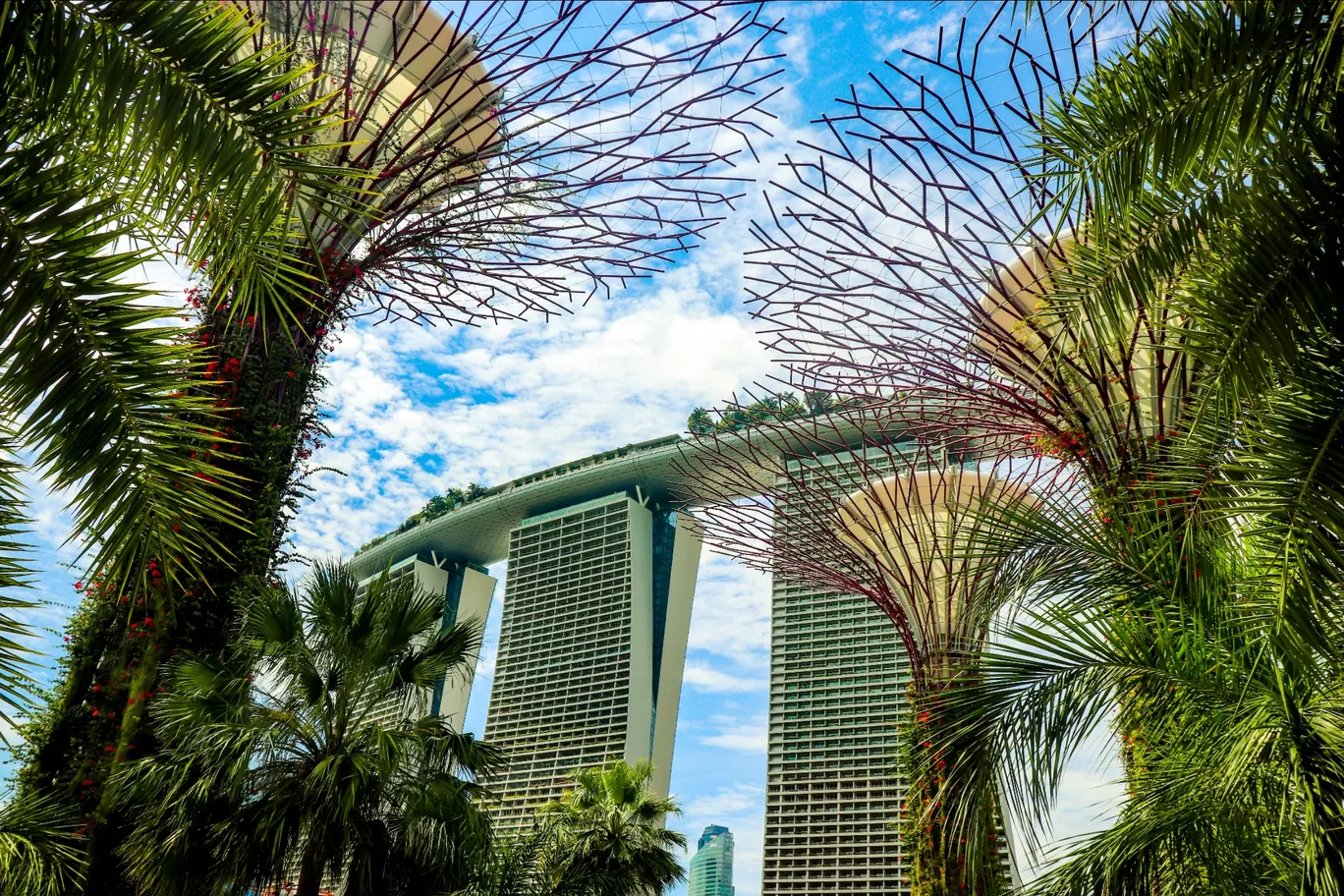 Photo of Marina Bay By Vishwanath Moolya