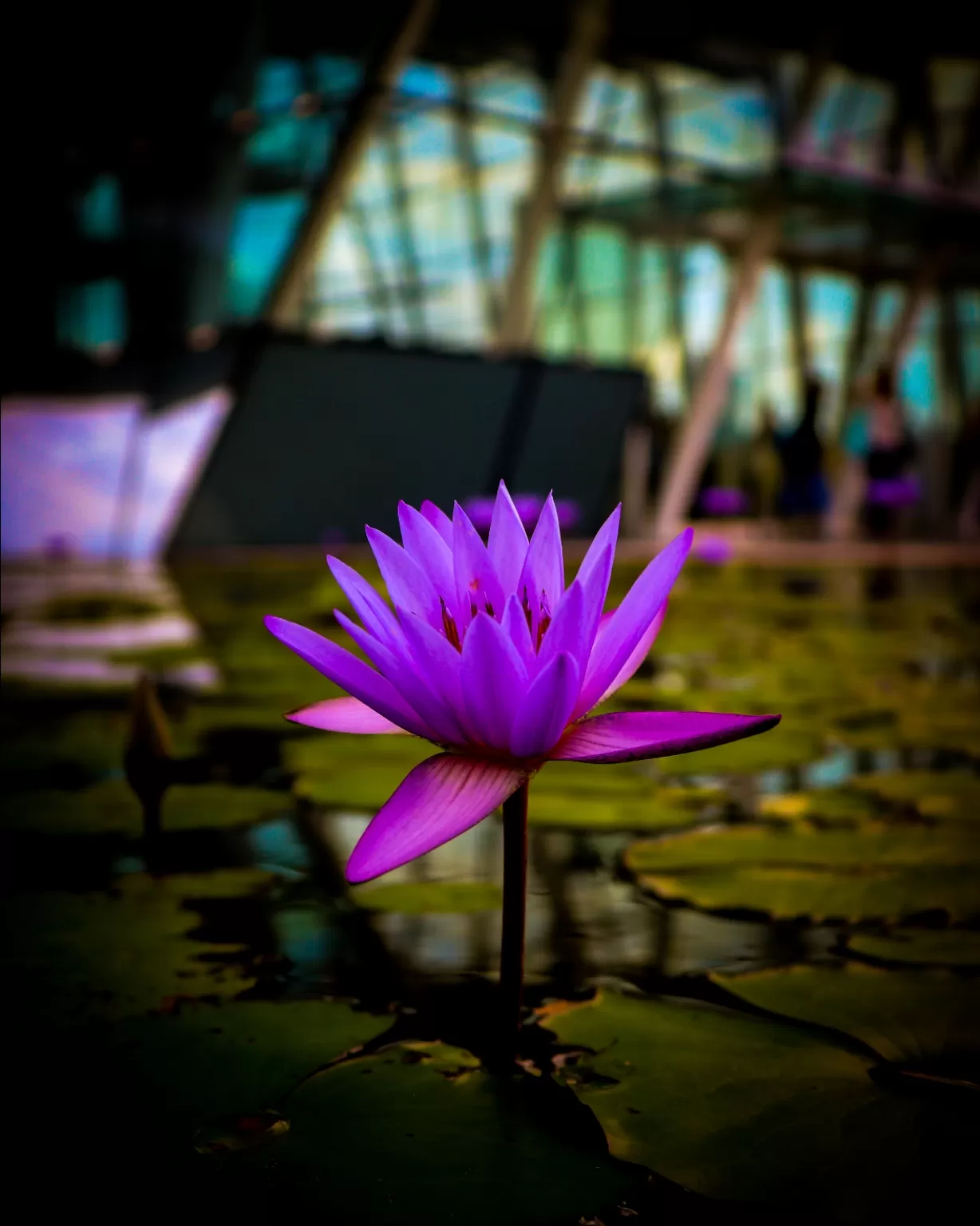 Photo of Marina Bay By Vishwanath Moolya