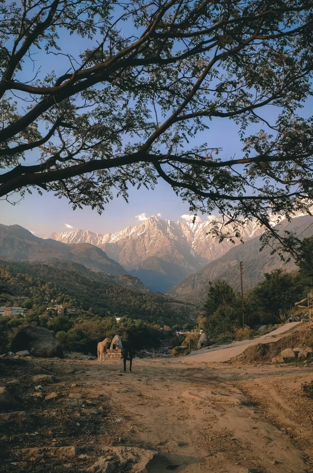 Photo of Dharamshala By Tenzin Shenyen