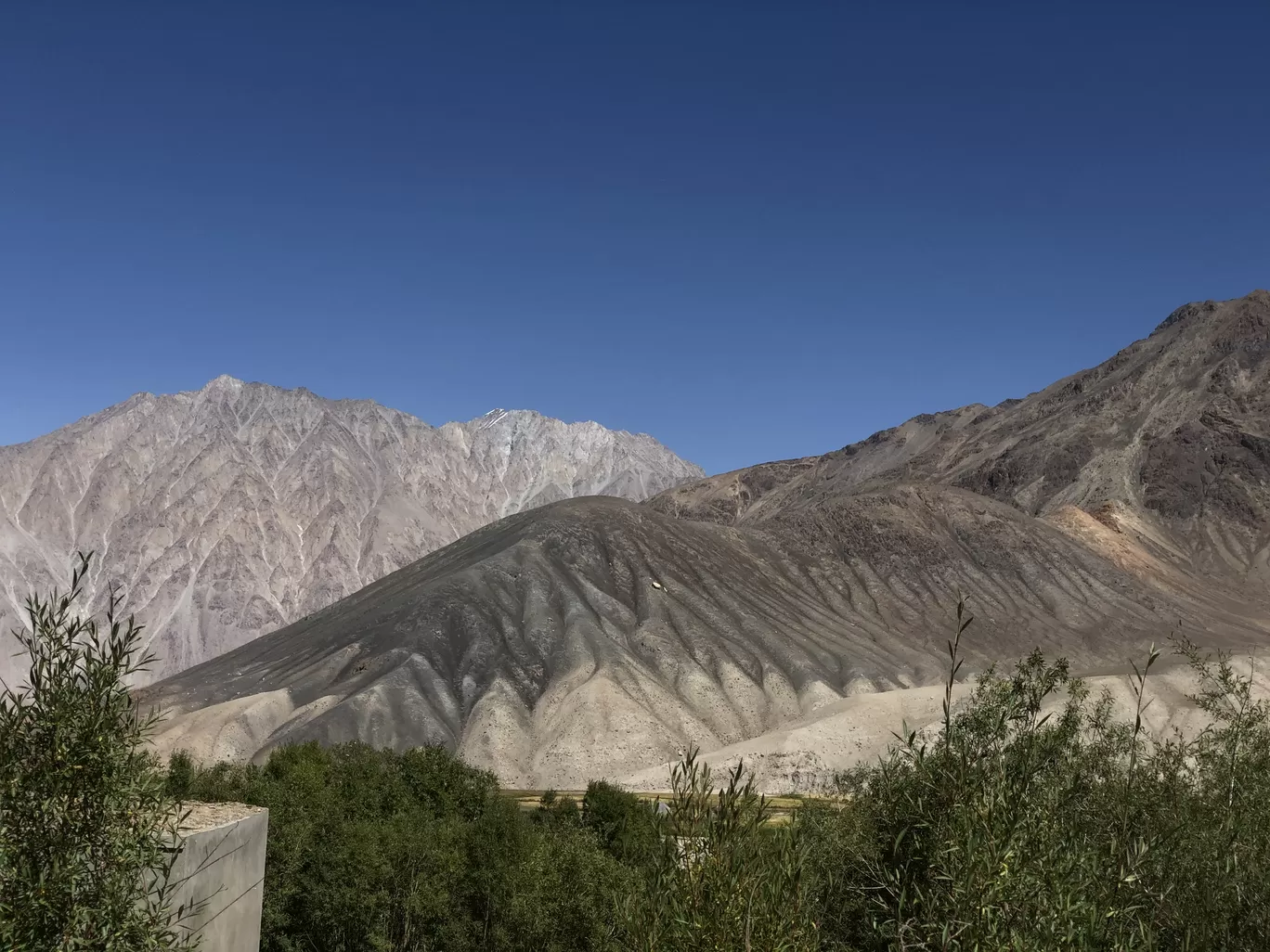 Photo of Ladakh By Pragya Kapkoti