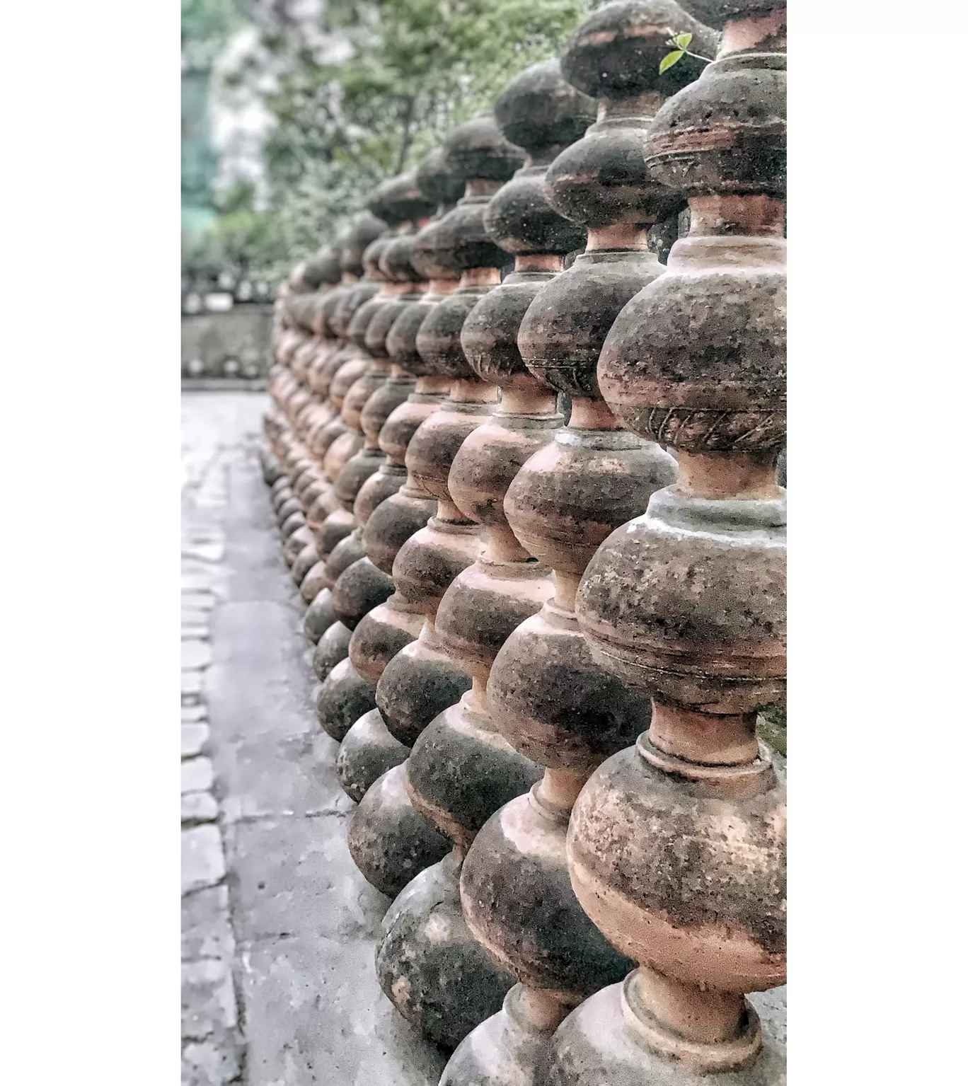 Photo of India By Trushali Khomane