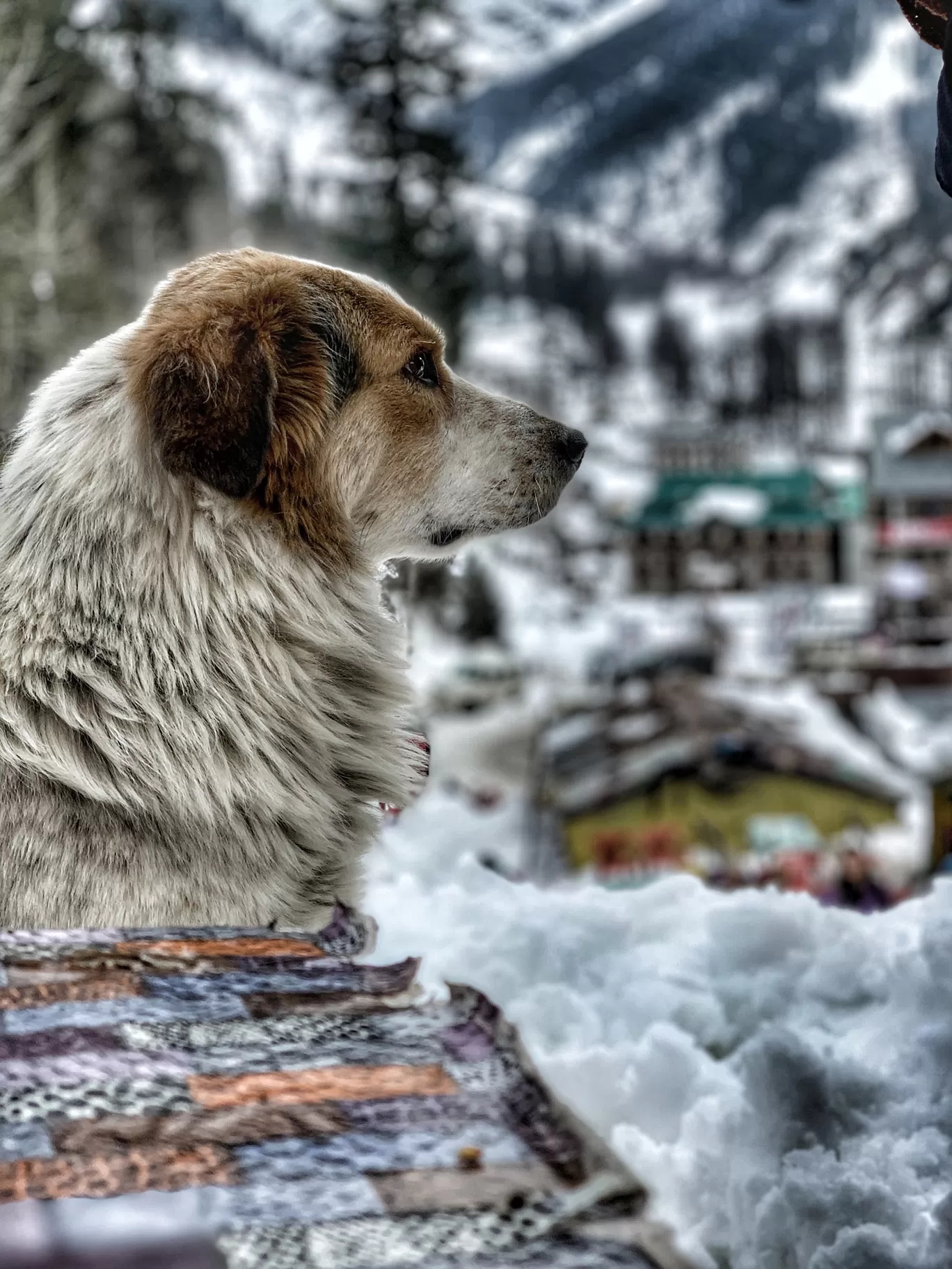 Photo of India By Trushali Khomane