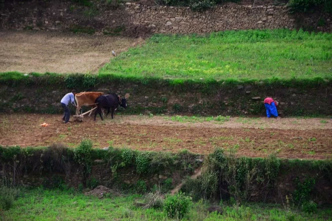 Photo of Garhwal By Solo Traveler