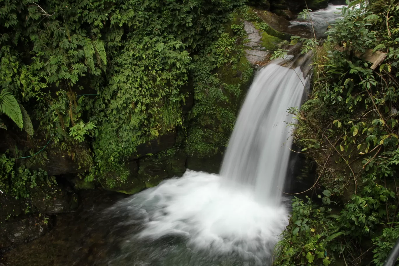 Photo of West Sikkim By Shubhrojyoti Laha