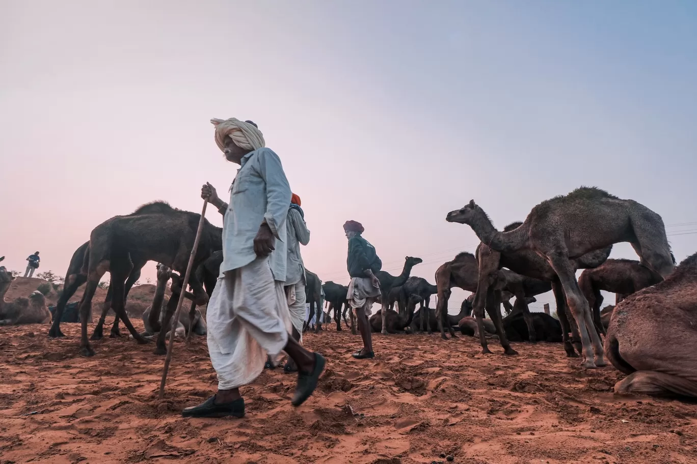 Photo of Pushkar By Travel With Danish