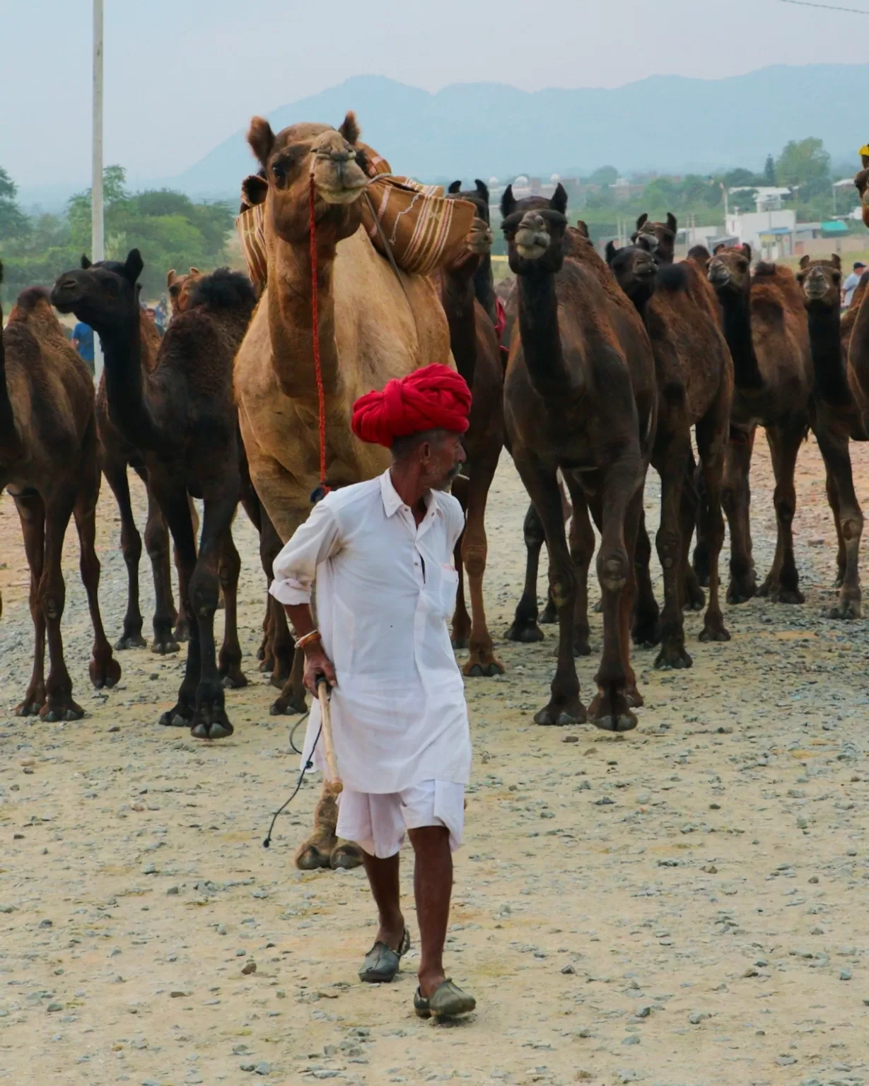 Photo of Pushkar By Travel With Danish