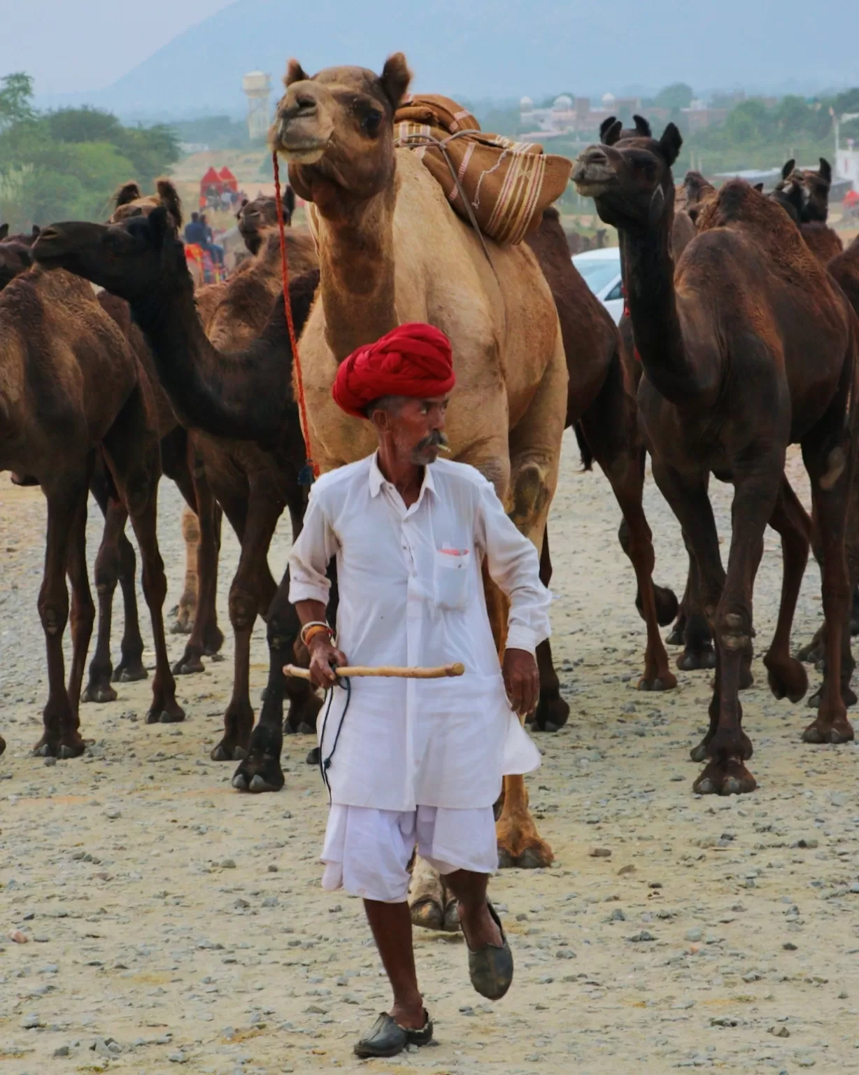 Photo of Pushkar By Travel With Danish