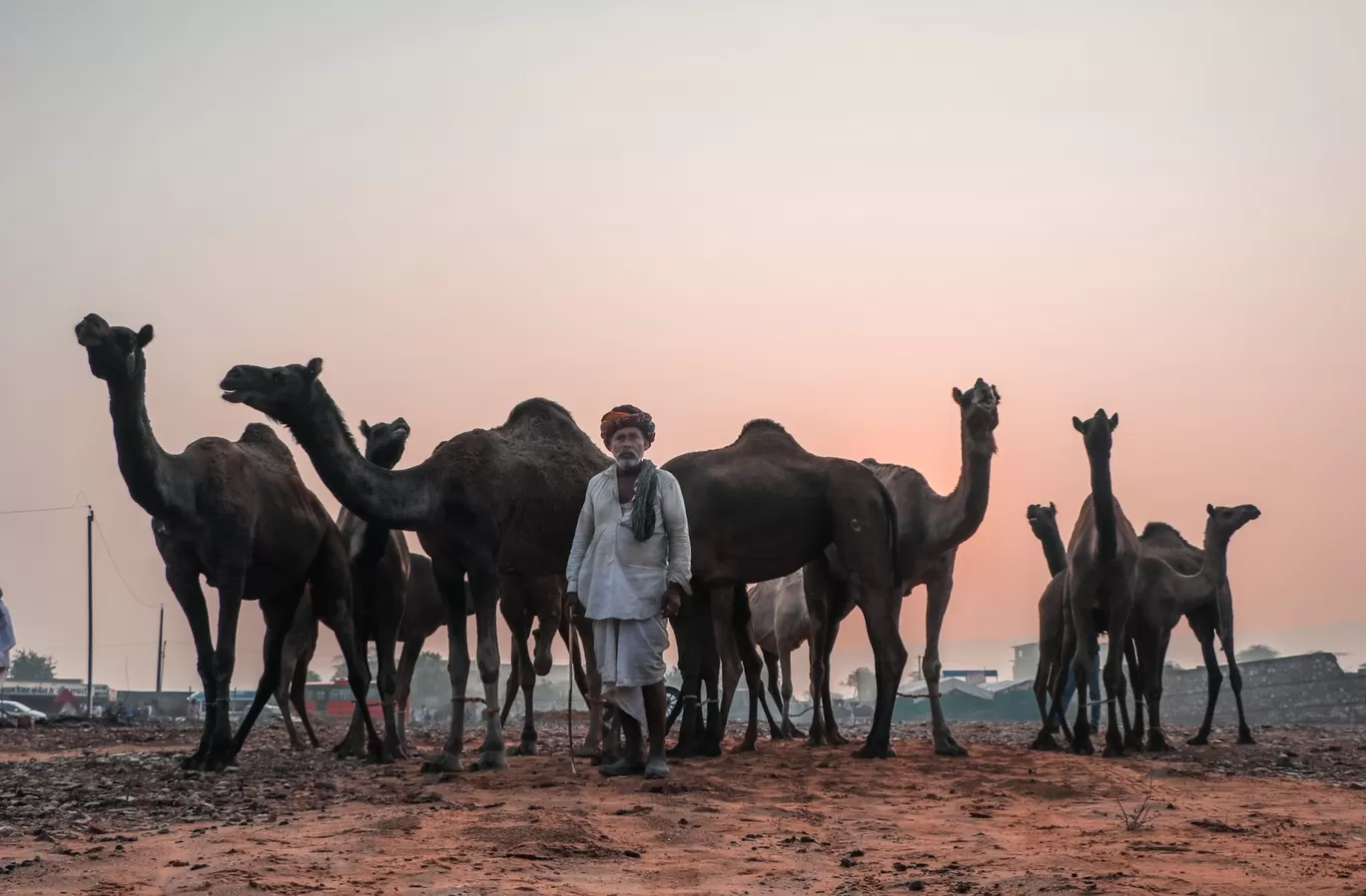 Photo of Pushkar By Travel With Danish
