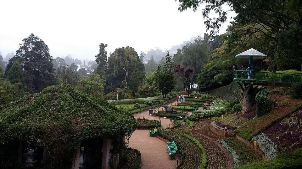 Photo of Ooty By Abhik De