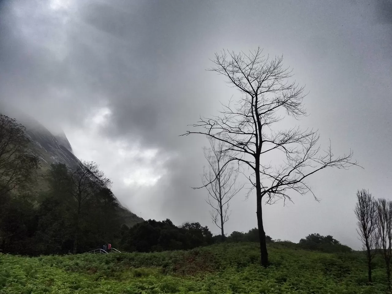 Photo of Munnar By Carol Crasto