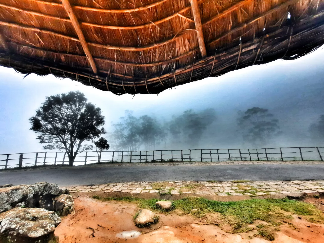 Photo of Munnar By Carol Crasto
