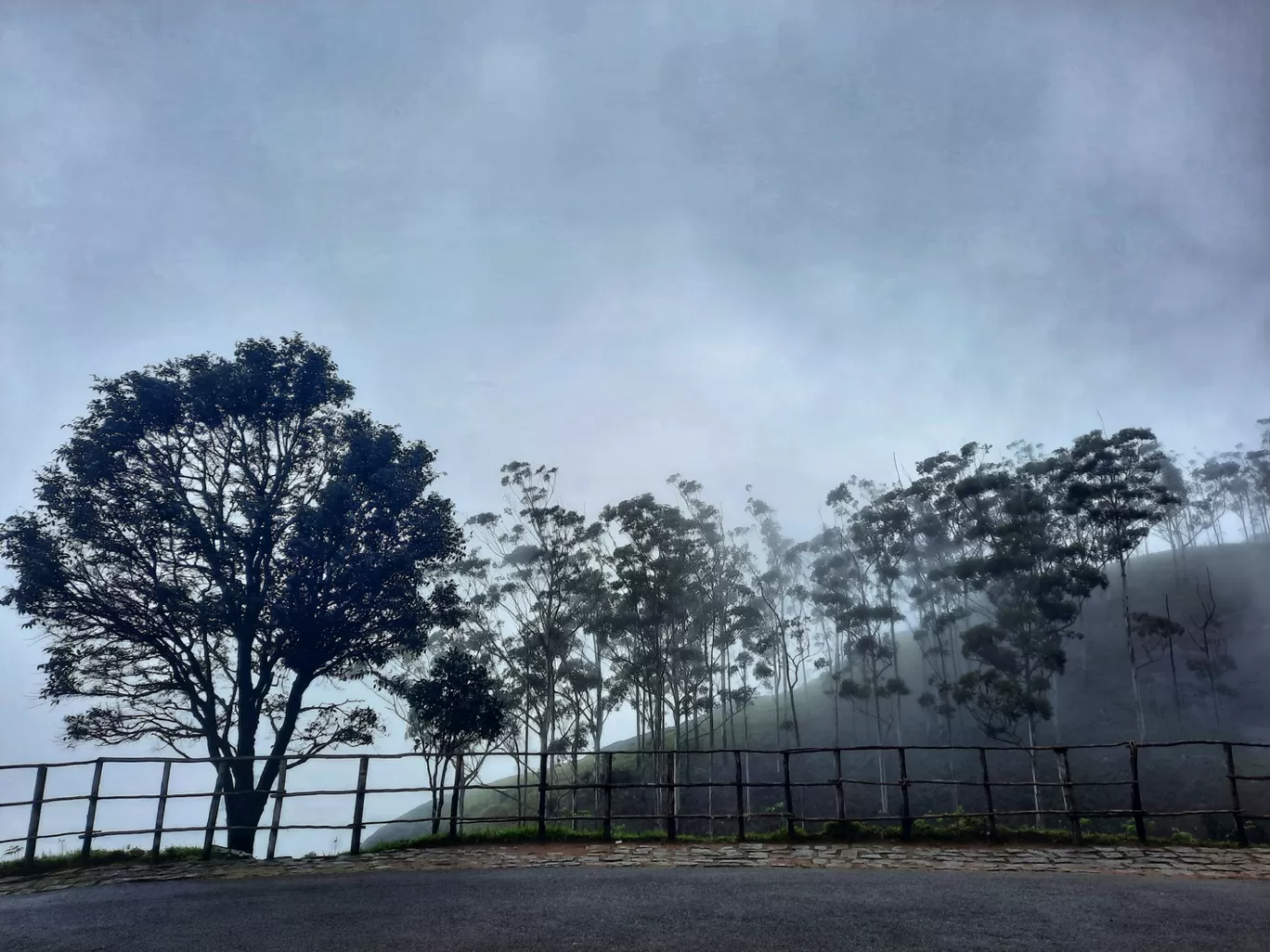 Photo of Munnar By Carol Crasto