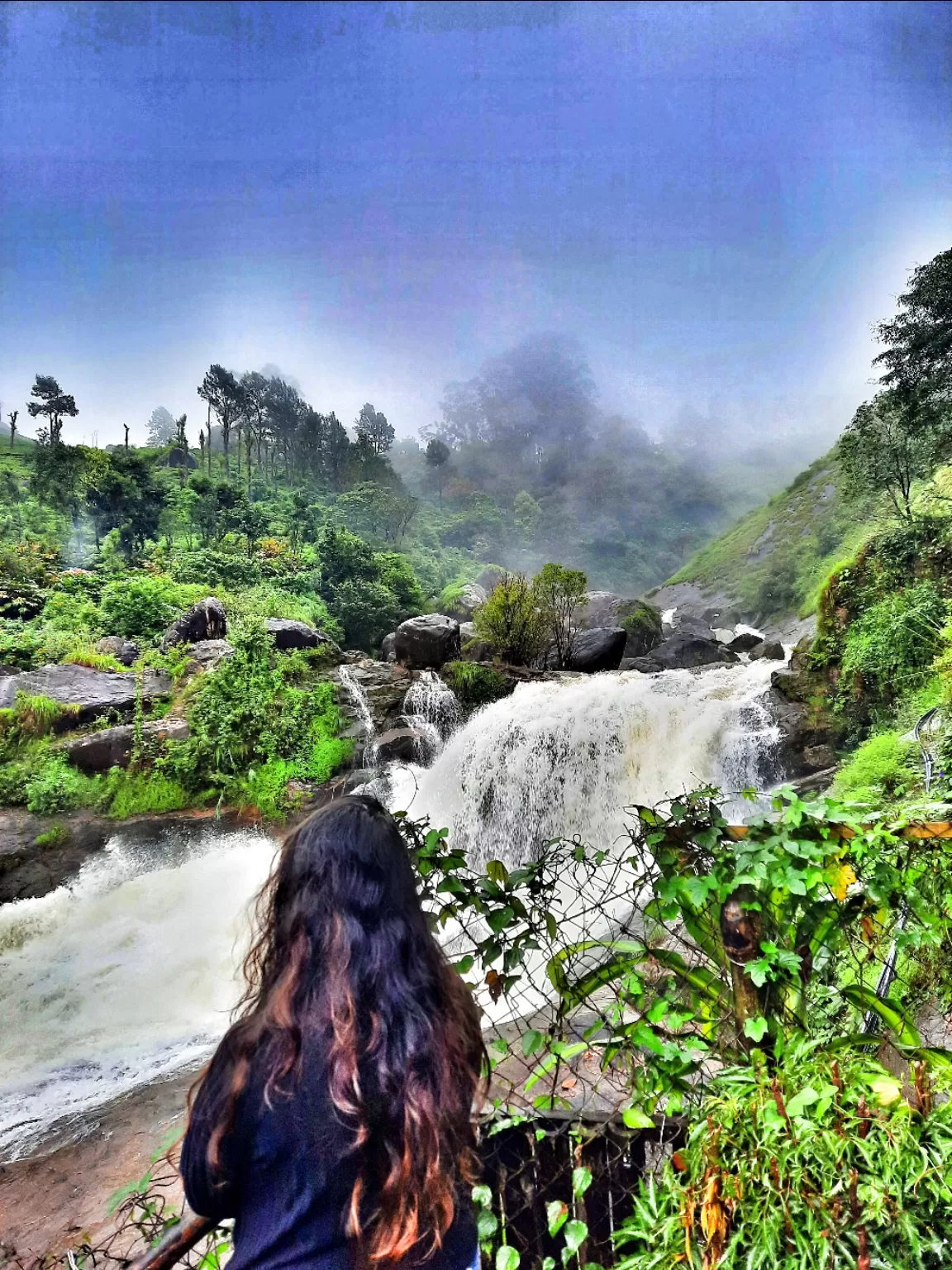 Photo of Munnar By Carol Crasto