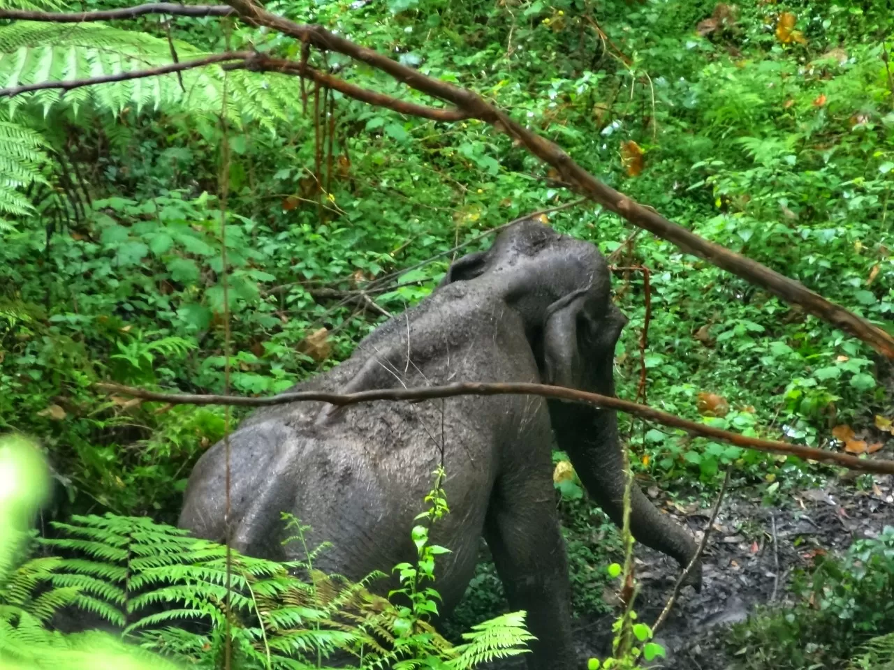 Photo of Munnar By Carol Crasto