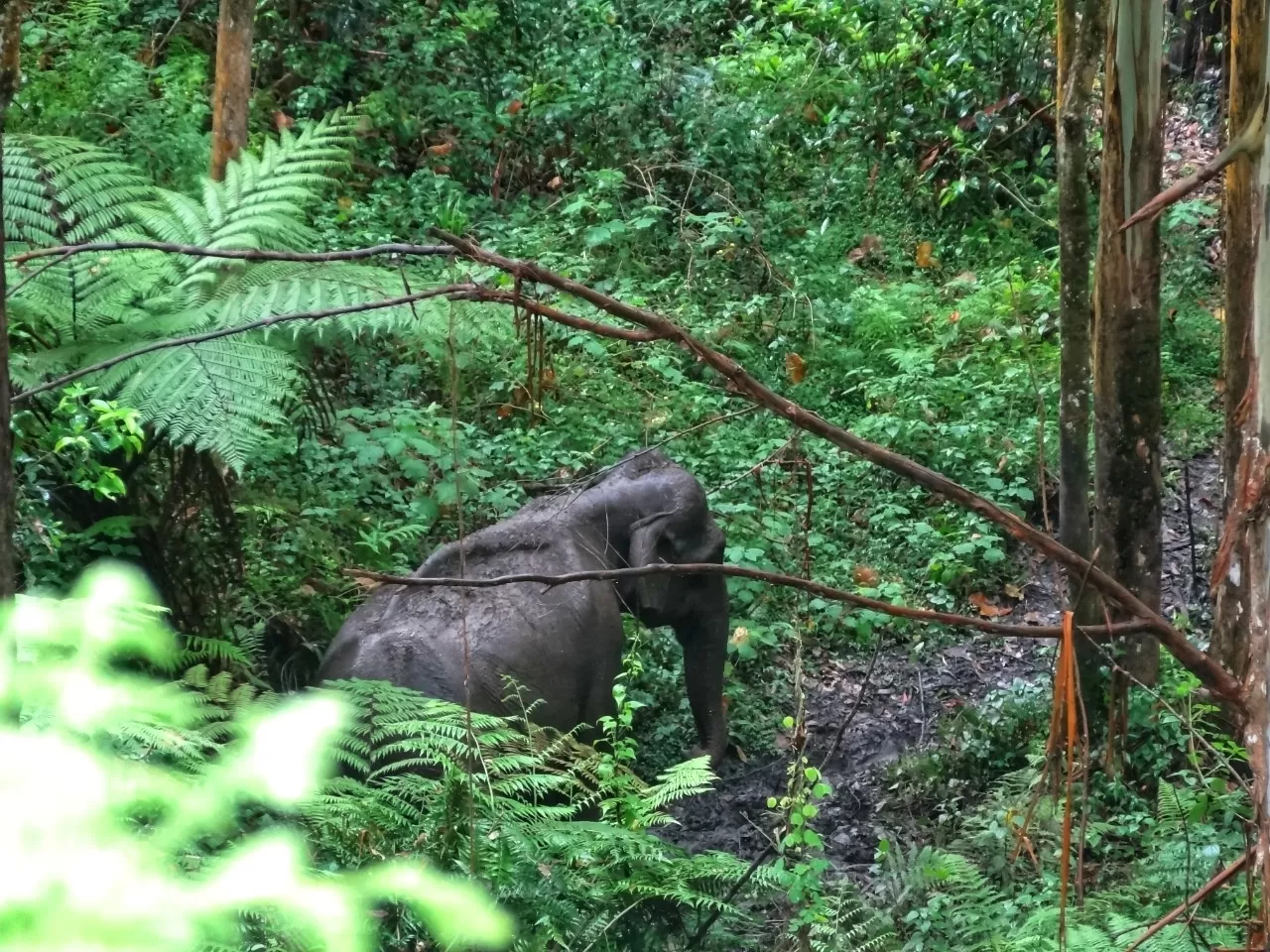 Photo of Munnar By Carol Crasto